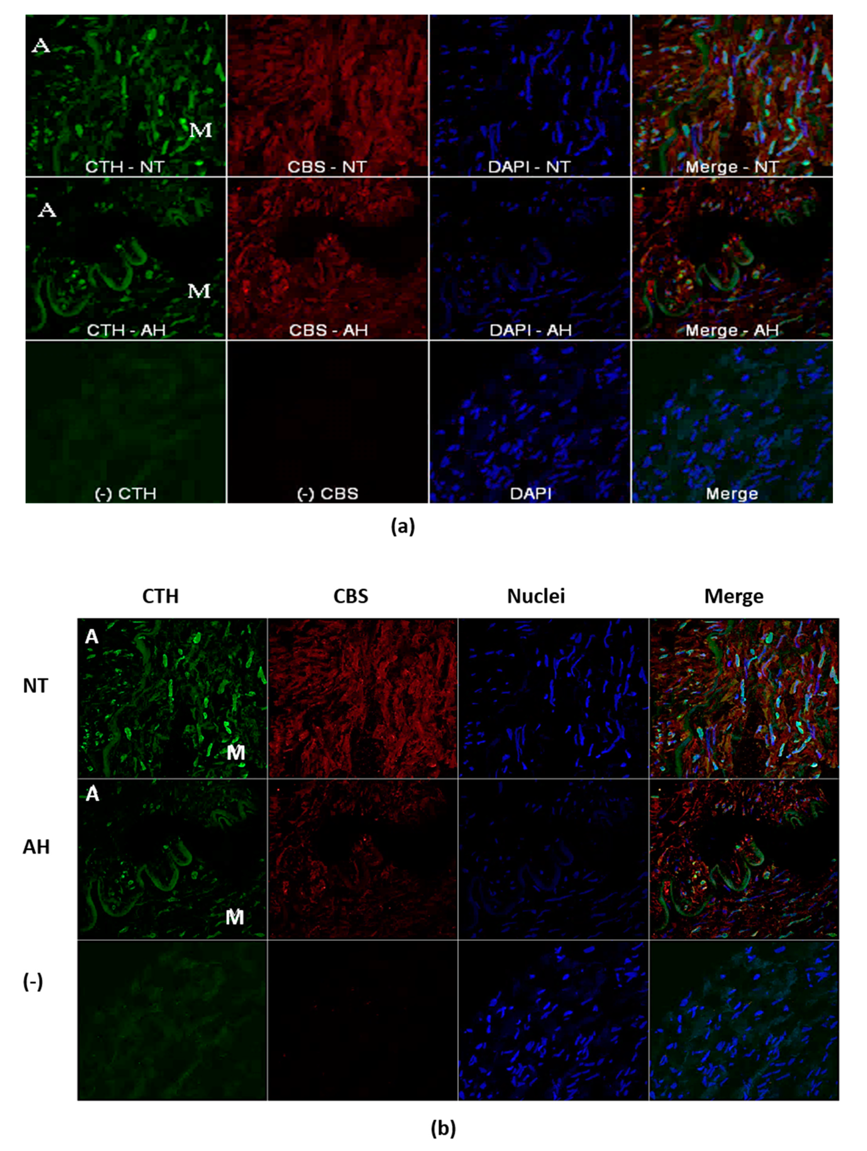 Molecules 25 02886 g002