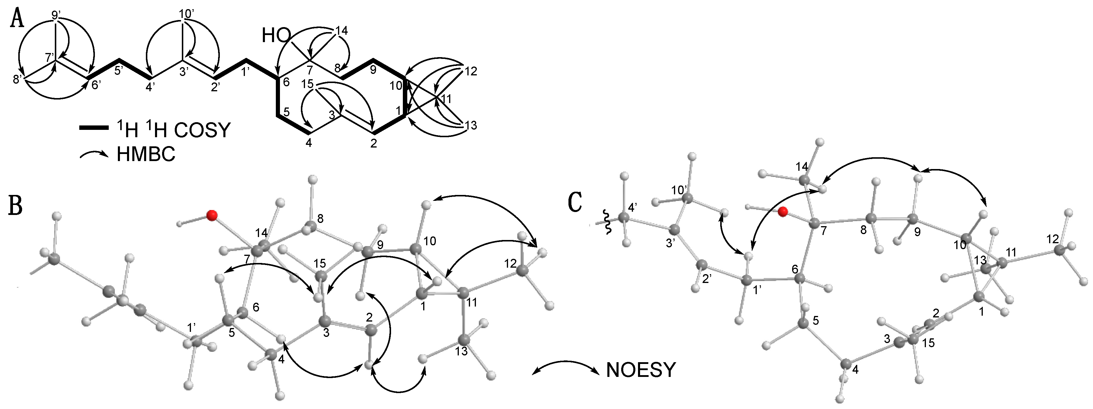 Molecules 25 02895 g003