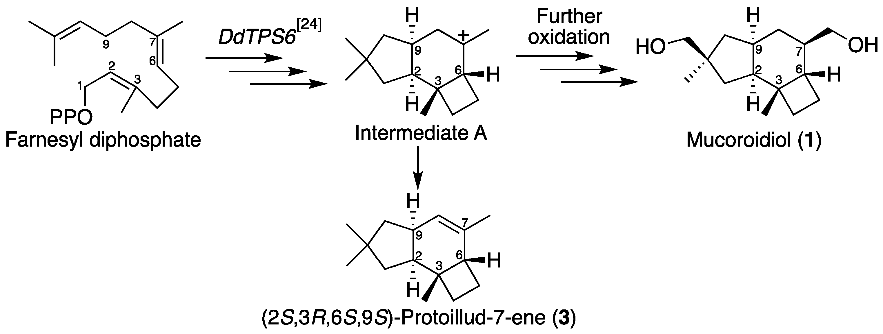 Molecules 25 02895 sch001