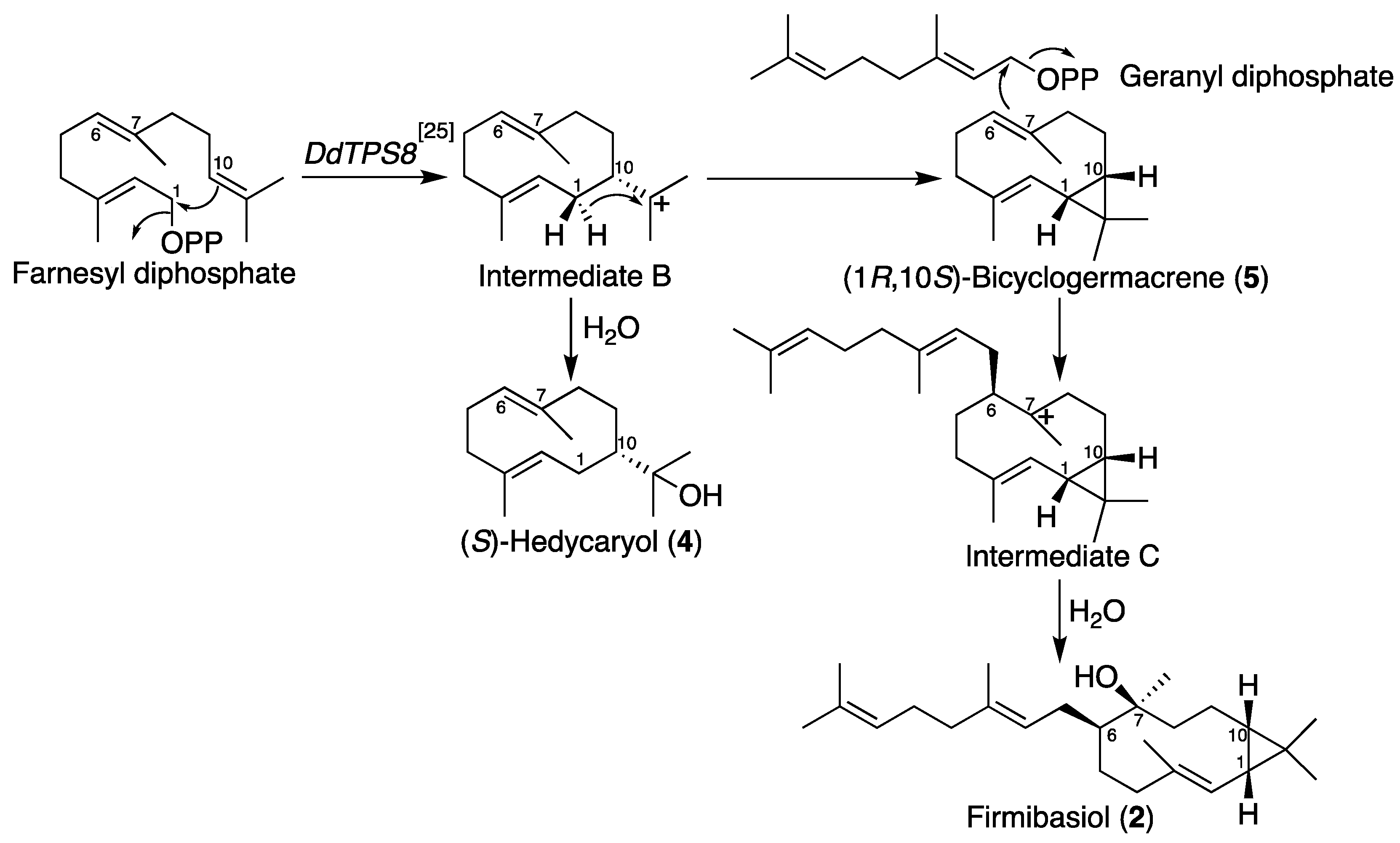 Molecules 25 02895 sch002