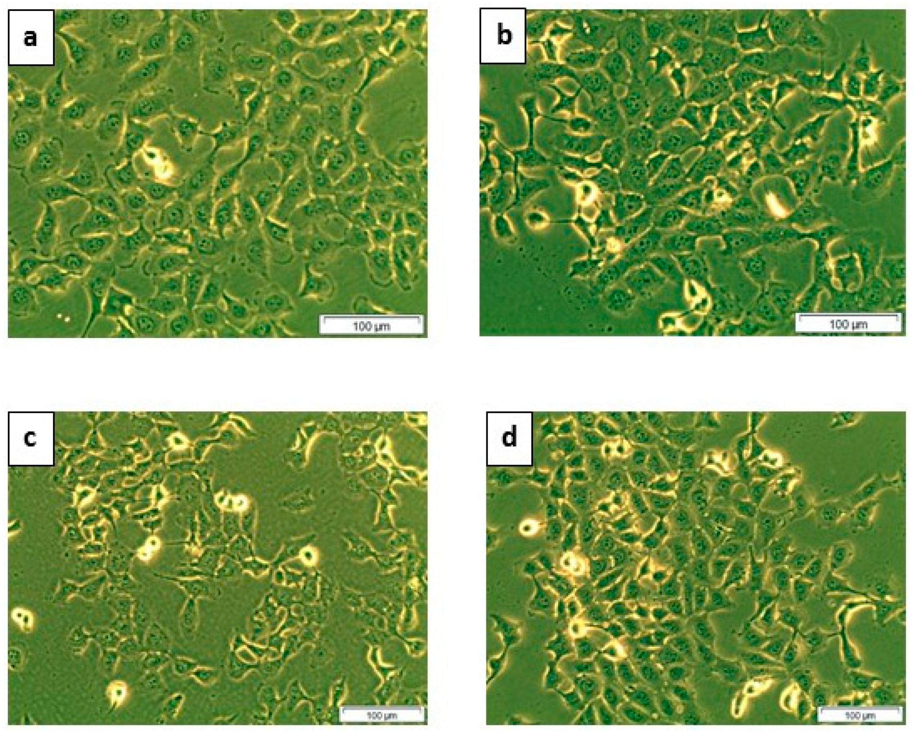 Molecules 25 02900 g001 Molecules 25 02900 g001