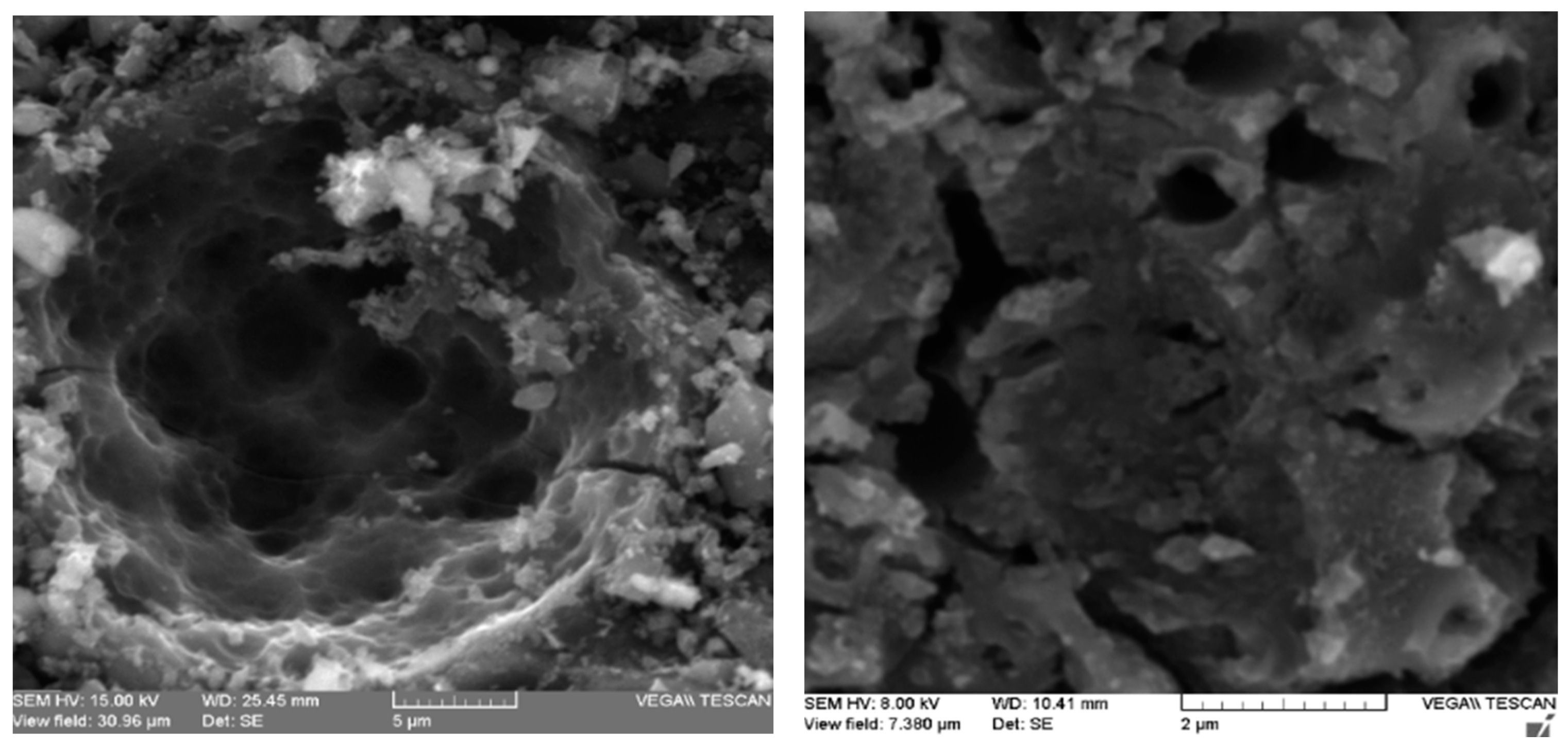 Molecules 25 02902 g004 Molecules 25 02902 g004