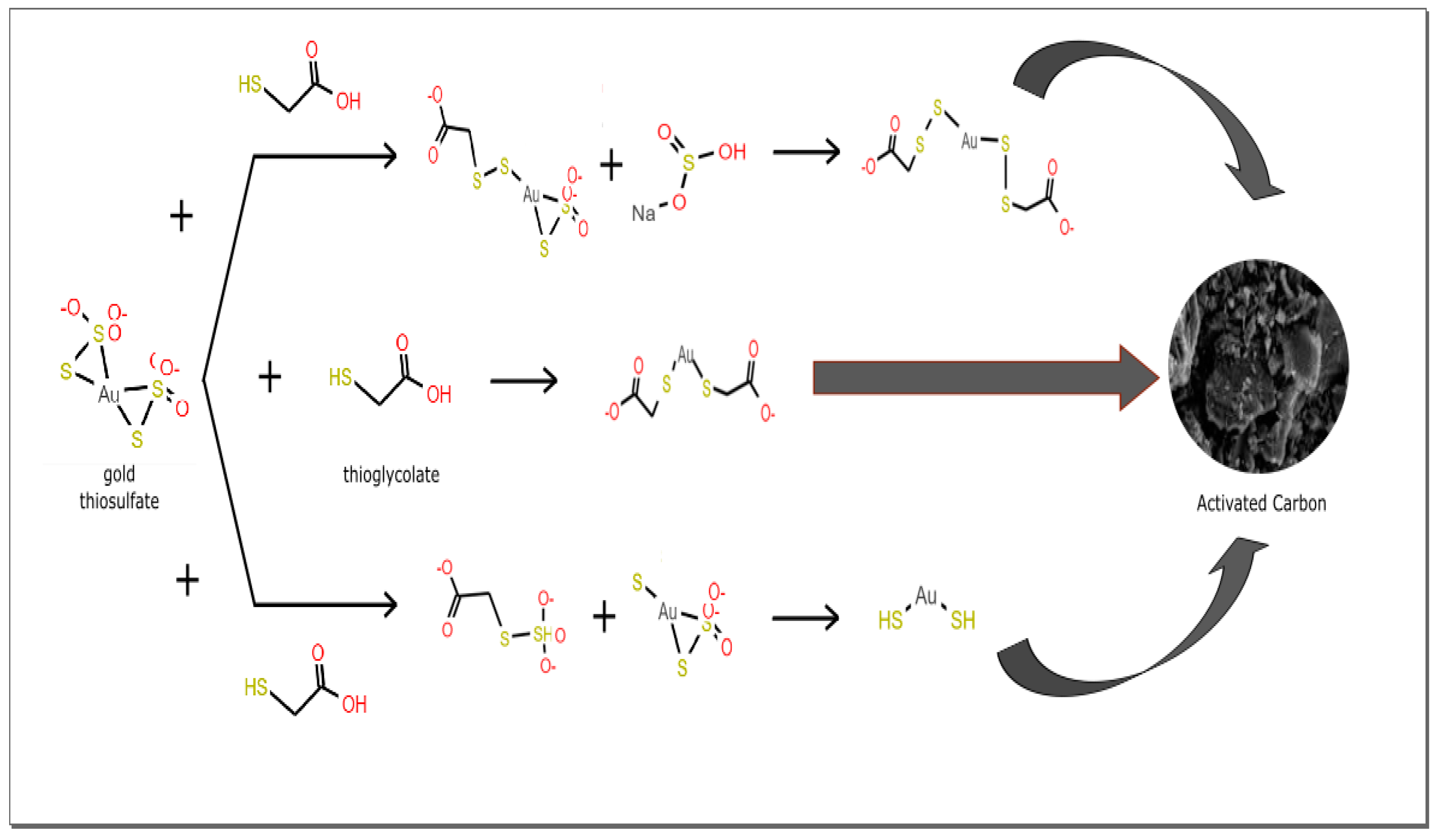 Molecules 25 02902 g009 Molecules 25 02902 g009