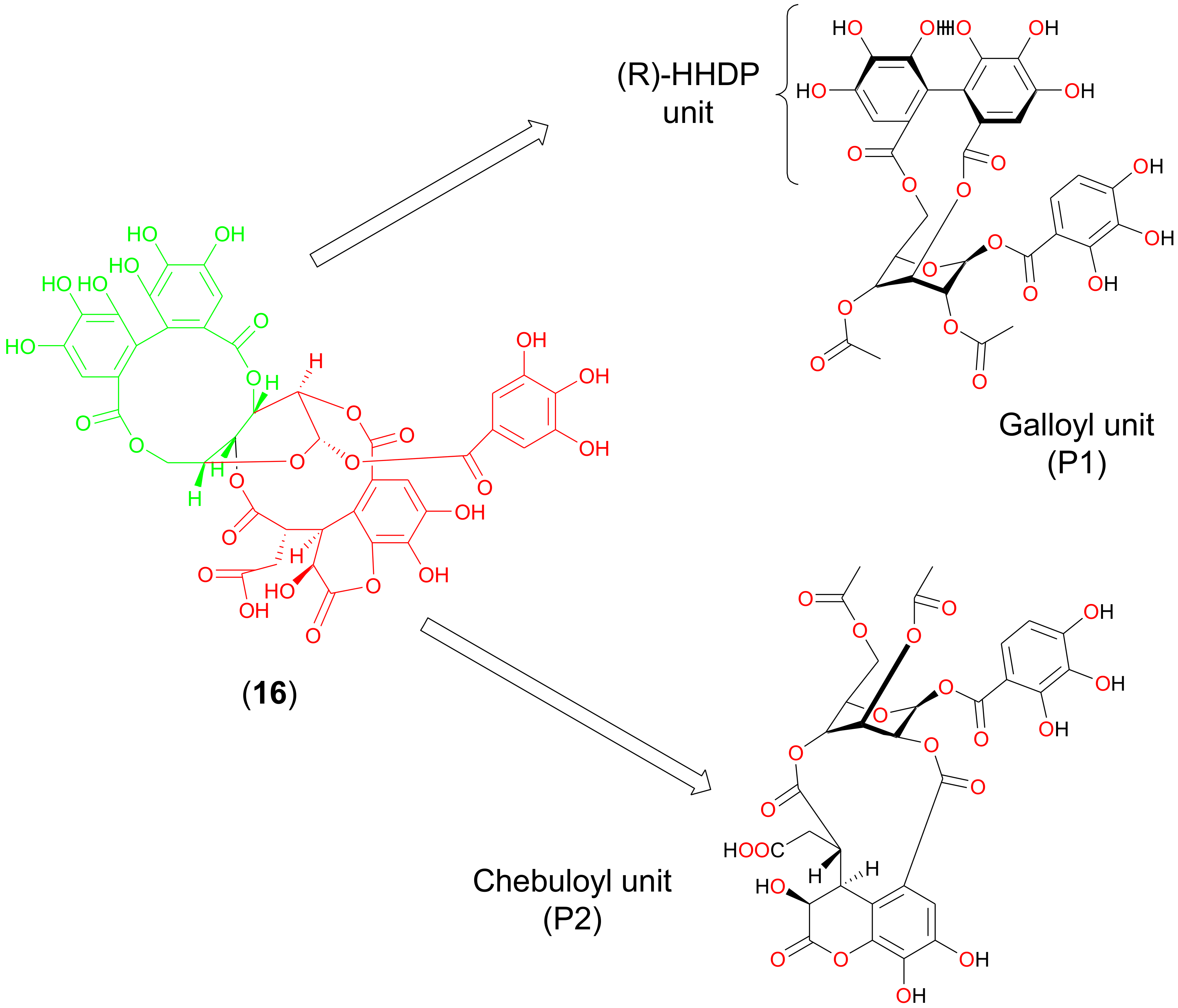 Molecules 25 02903 g004 Molecules 25 02903 g004