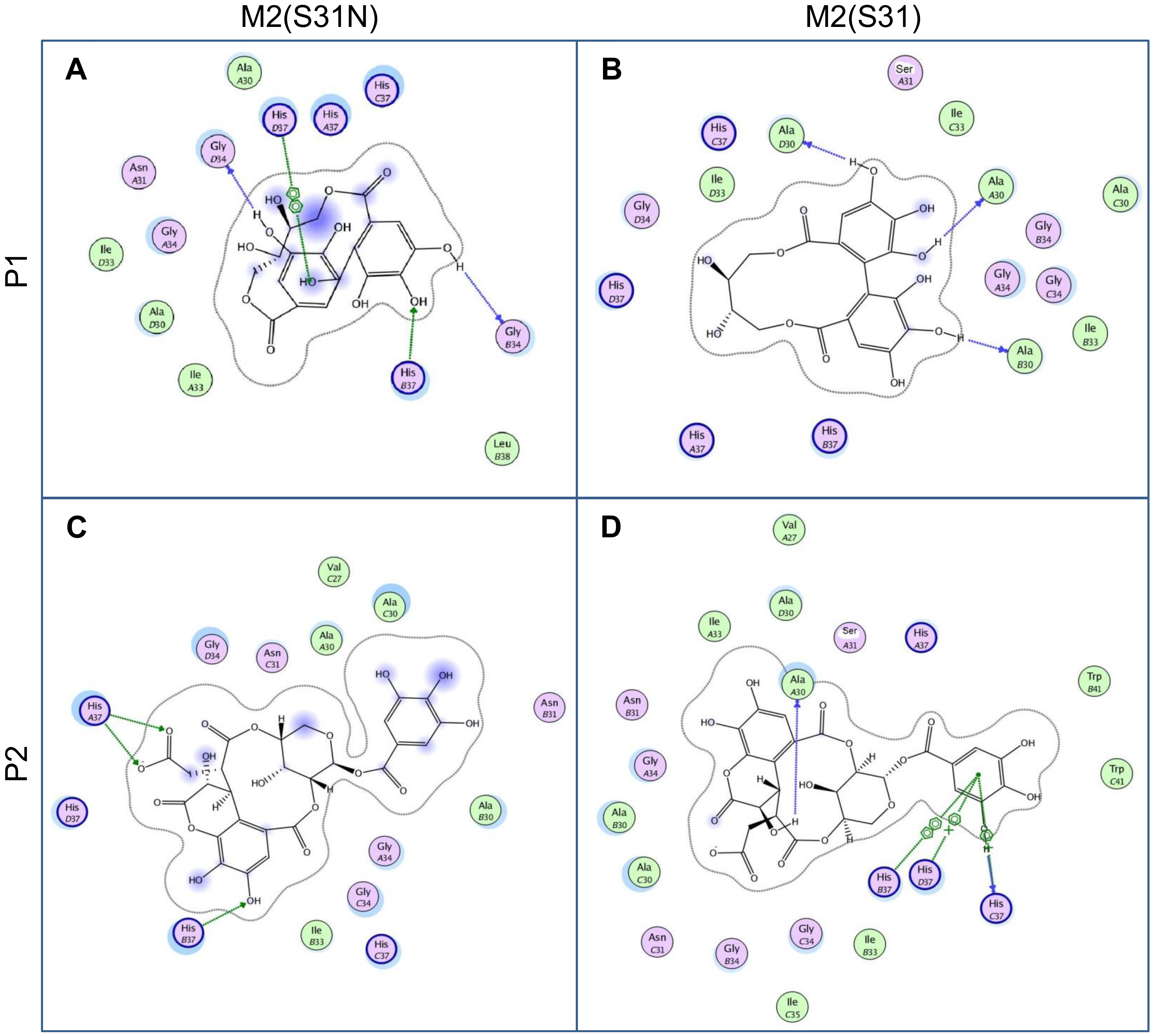 Molecules 25 02903 g005 Molecules 25 02903 g005