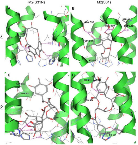 語学+参考書 Aminolevulinic acid 語学+参考書 Aminolevulinic acid 5 Aminolevulinate Synthase