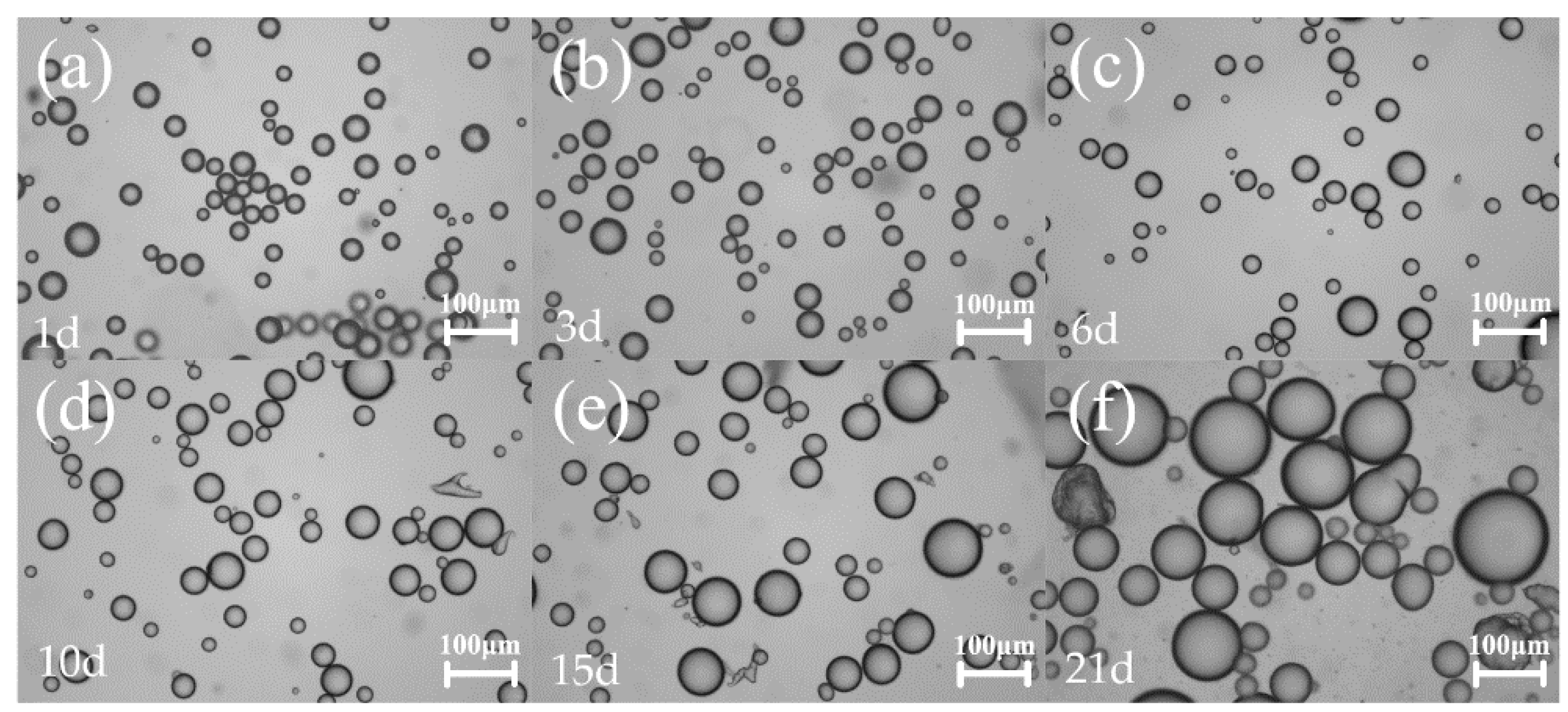 Molecules 25 02904 g005 Molecules 25 02904 g005