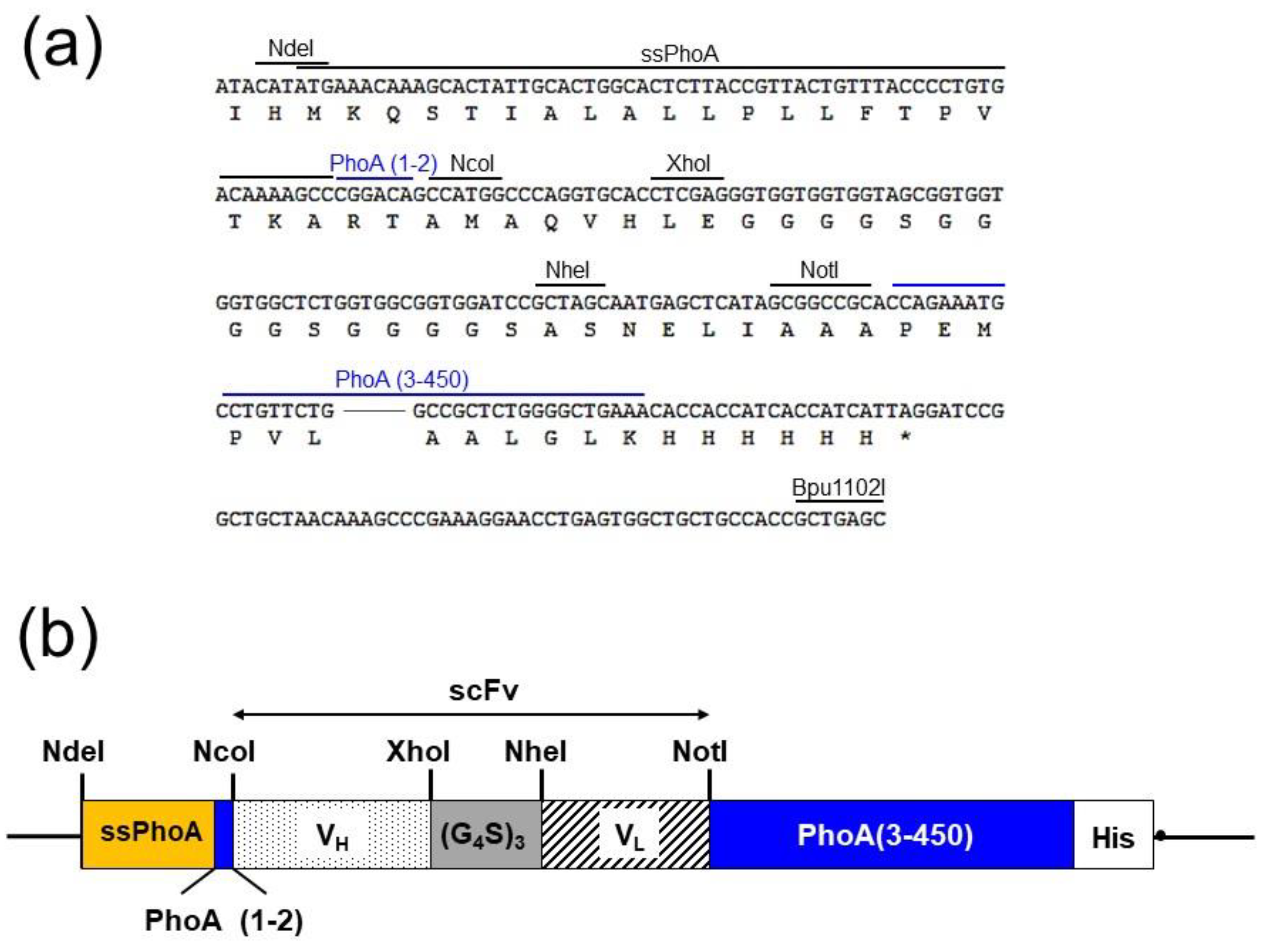 Molecules 25 02905 g002 Molecules 25 02905 g002