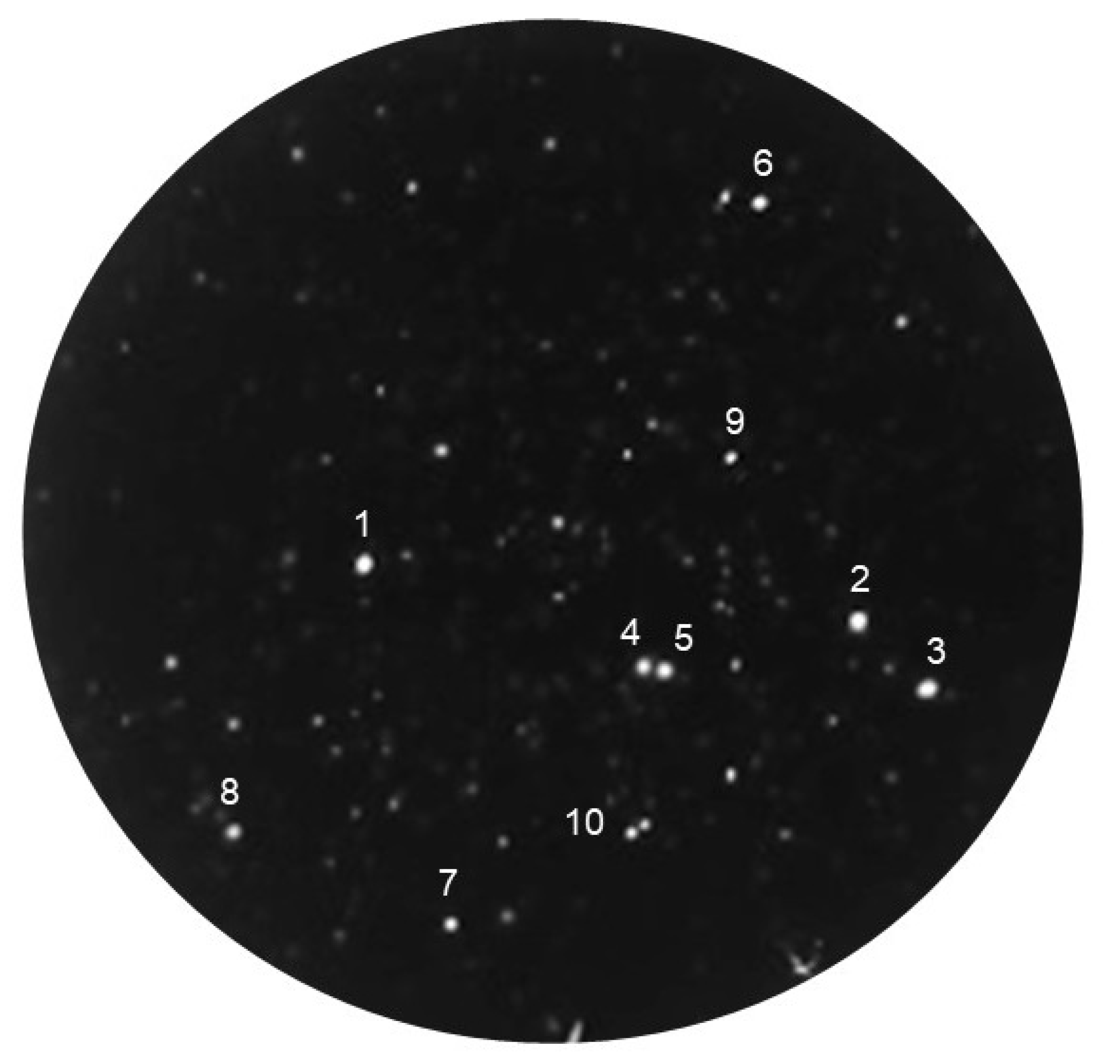 Molecules 25 02905 g003 Molecules 25 02905 g003