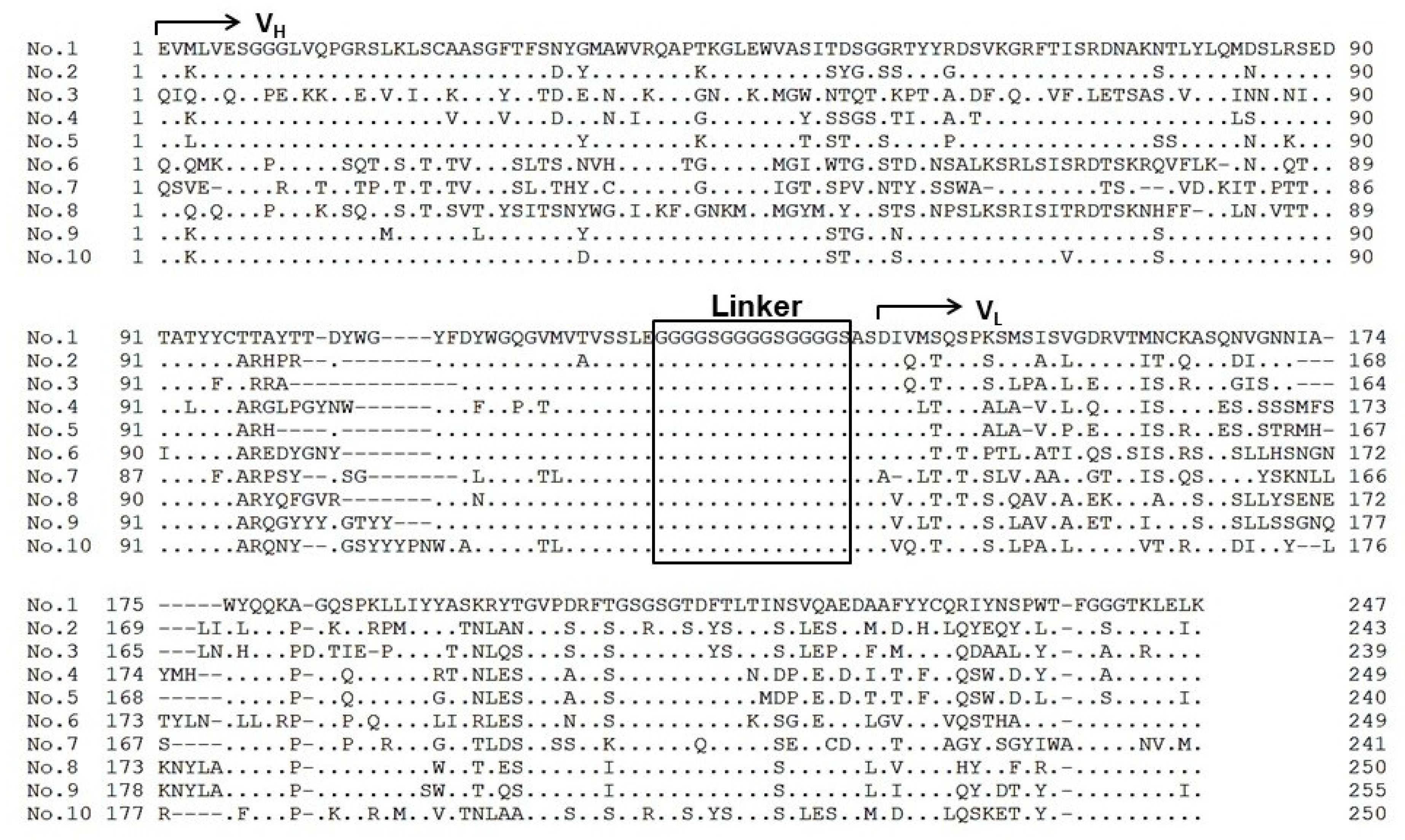 Molecules 25 02905 g005 Molecules 25 02905 g005