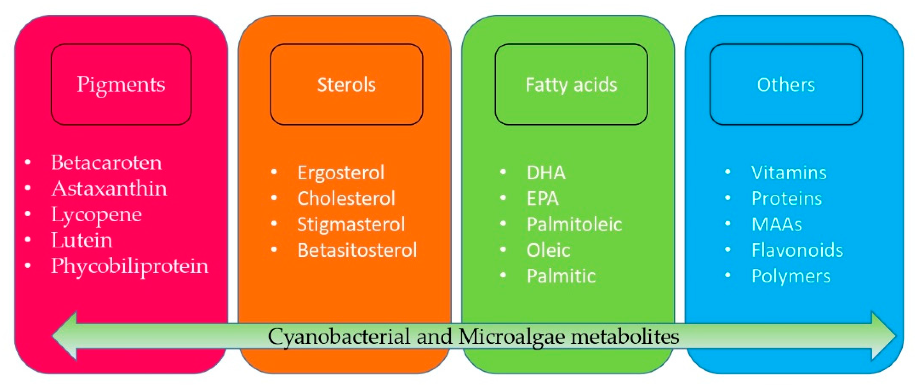 Molecules Free Full Text Advances In The Biotechnological