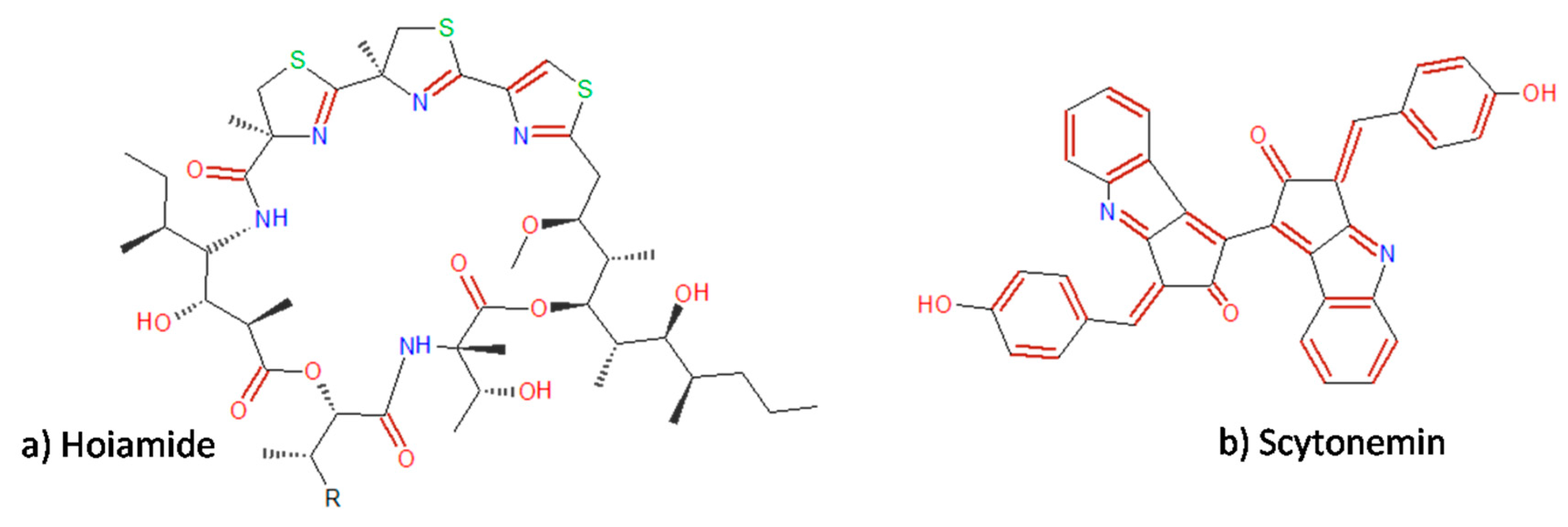 Molecules 25 02908 g003