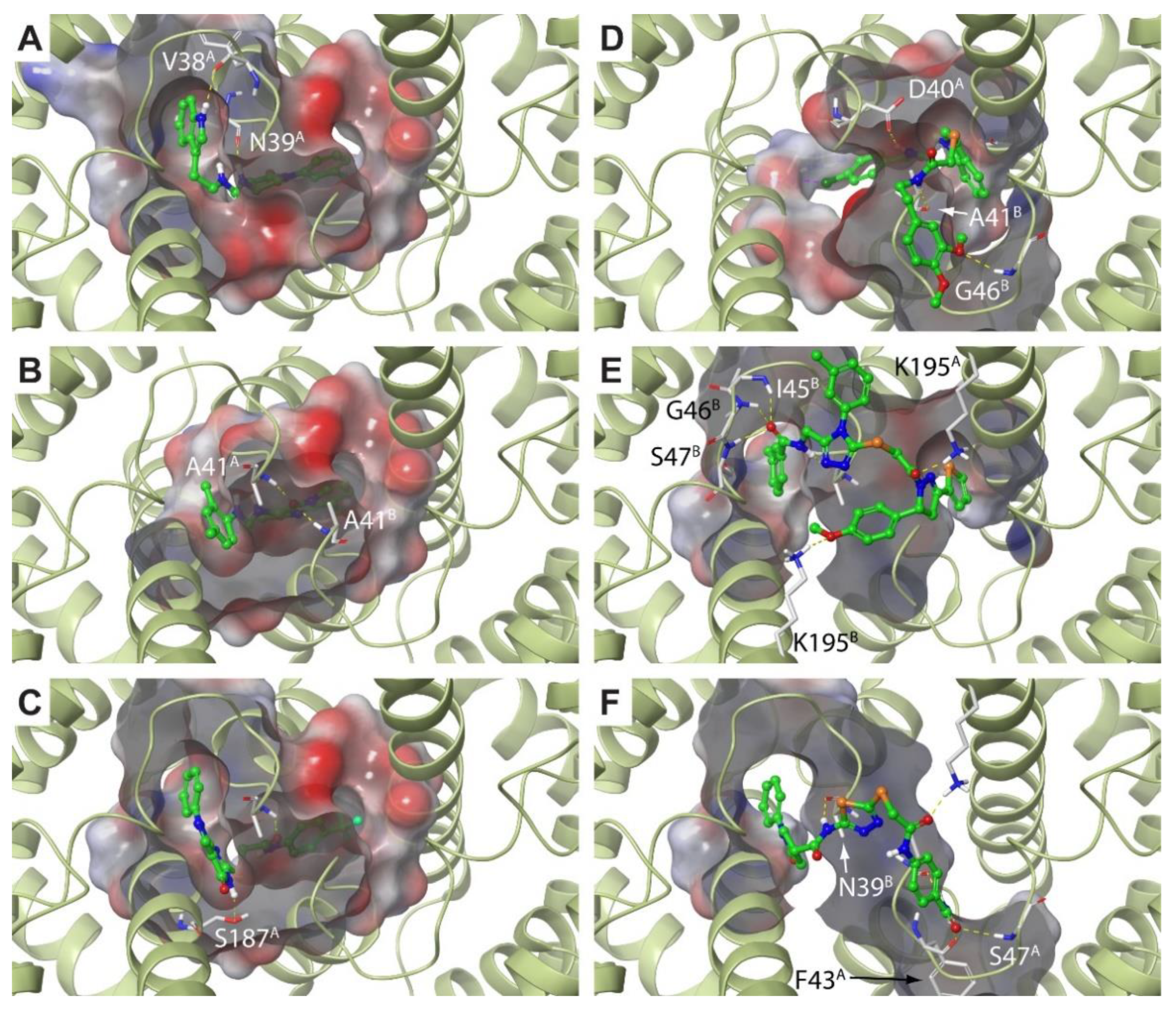 Molecules 25 02911 g005 Molecules 25 02911 g005