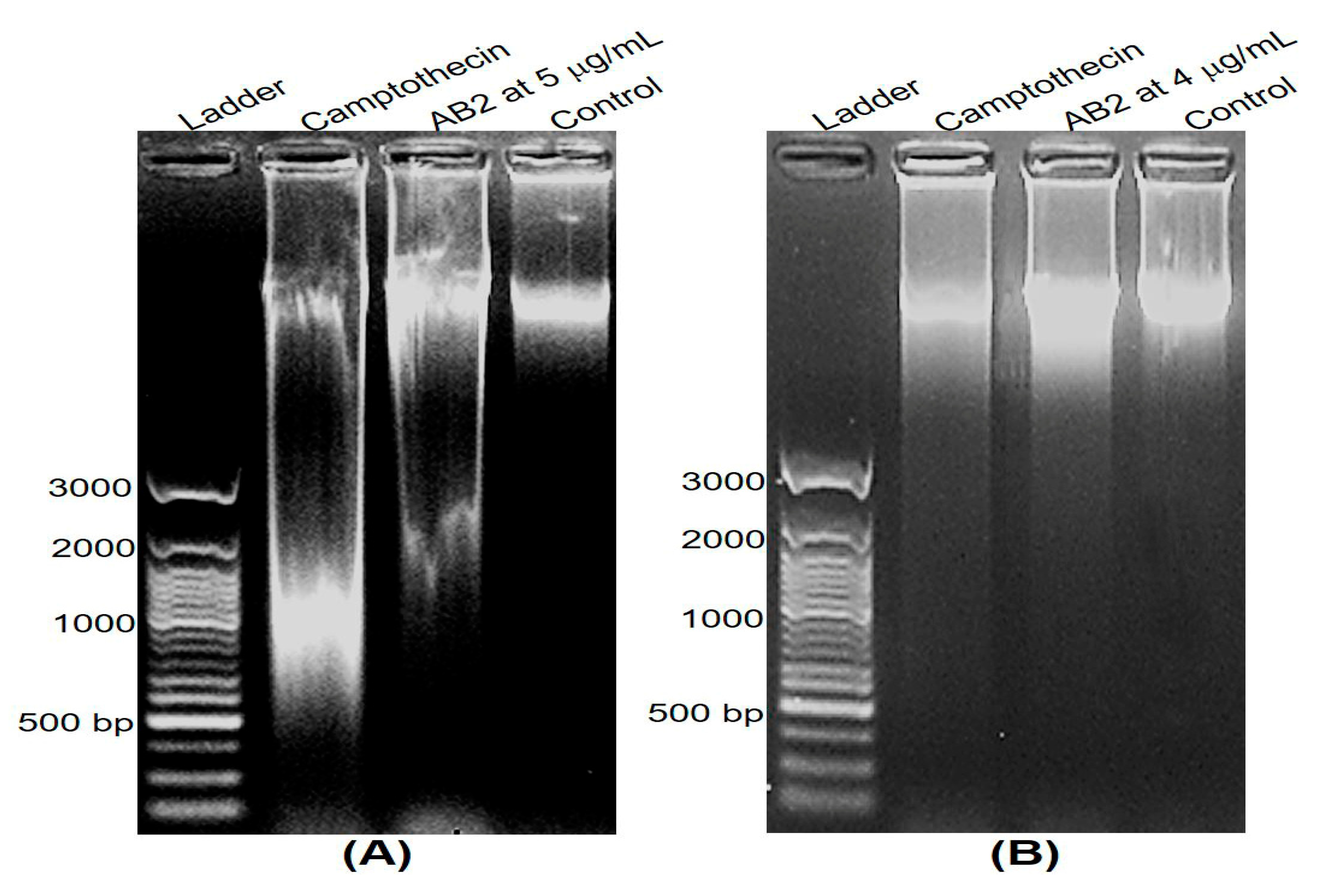 Molecules 25 02912 g006 Molecules 25 02912 g006