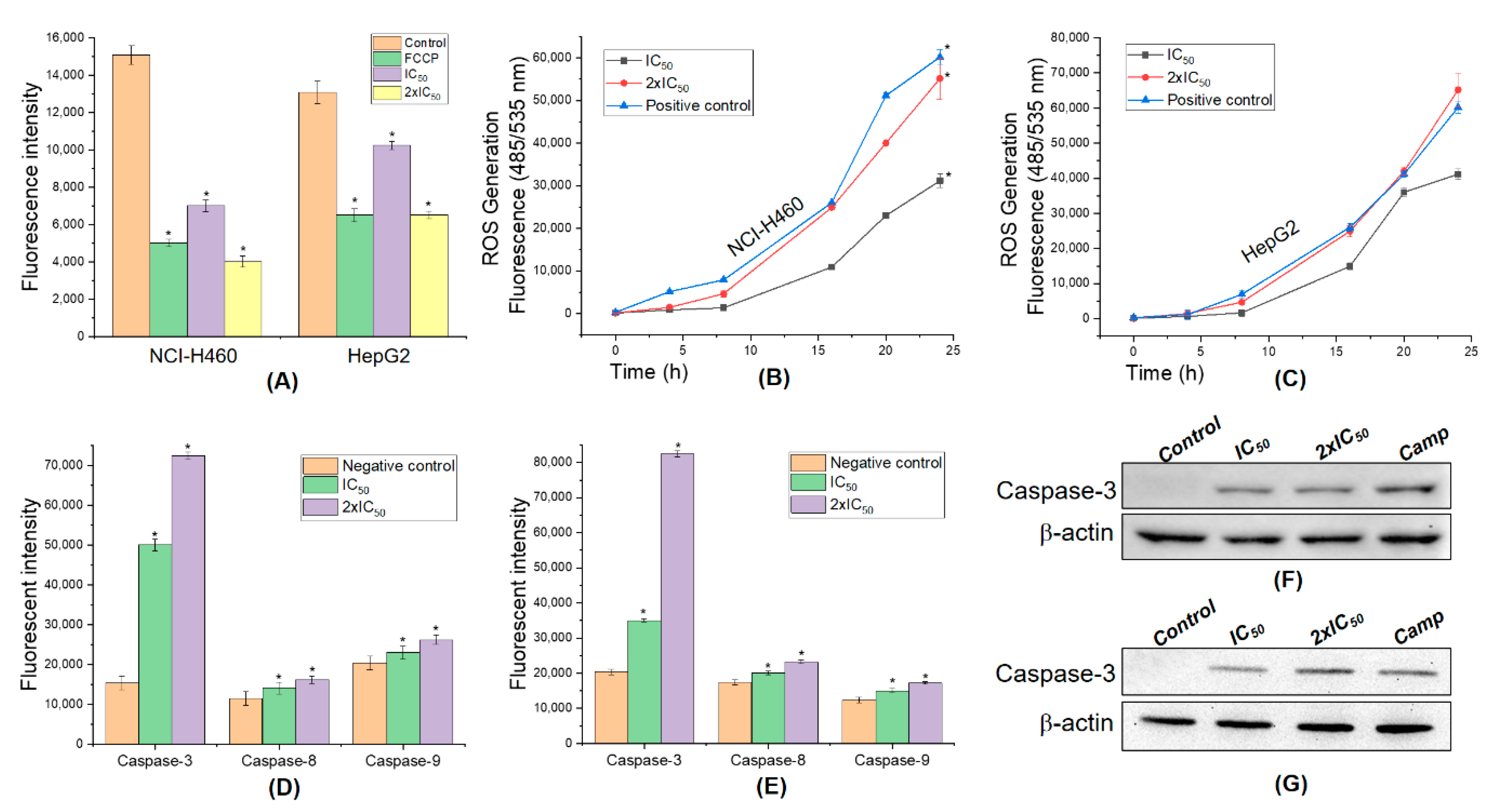 Molecules 25 02912 g008 Molecules 25 02912 g008