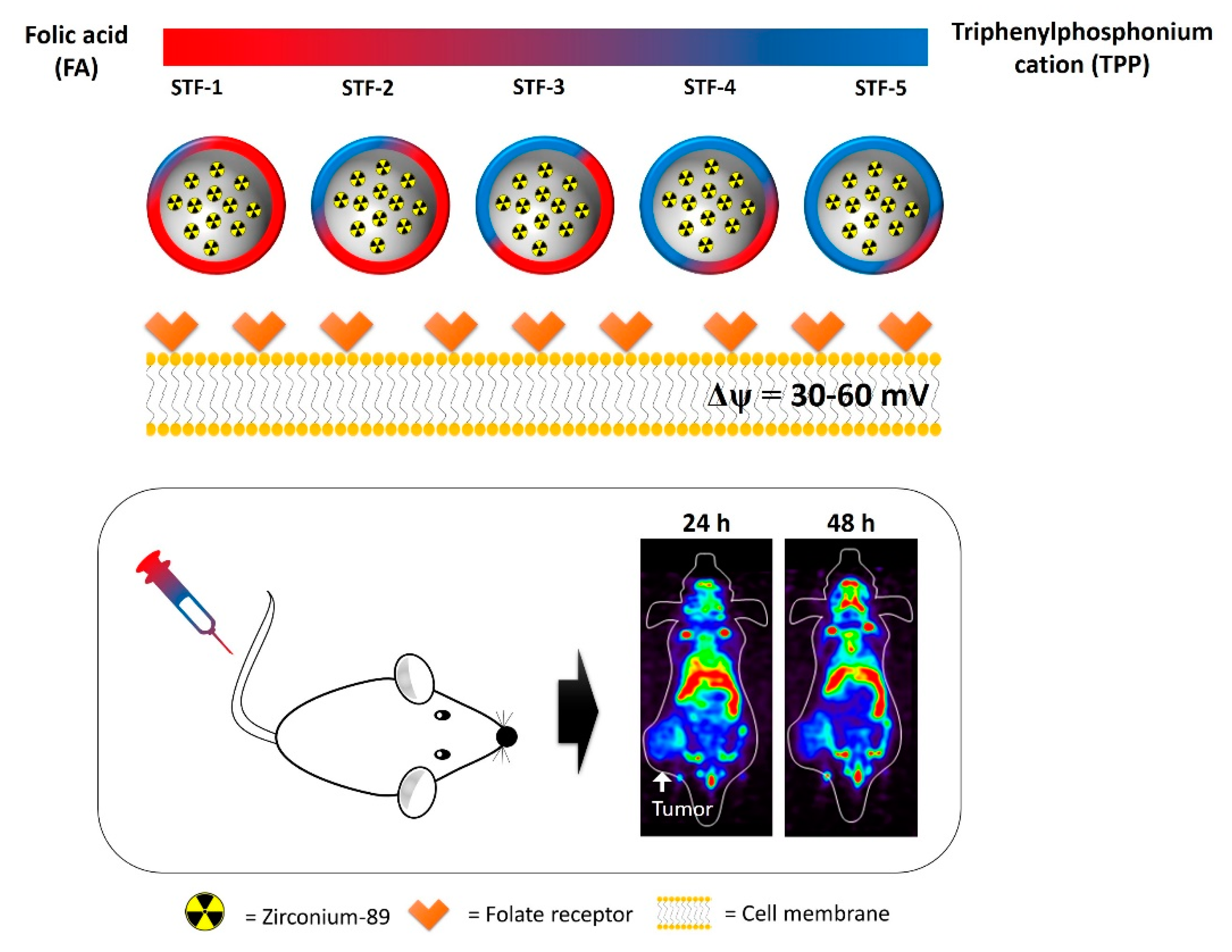 Molecules 25 02922 sch001 Molecules 25 02922 sch001