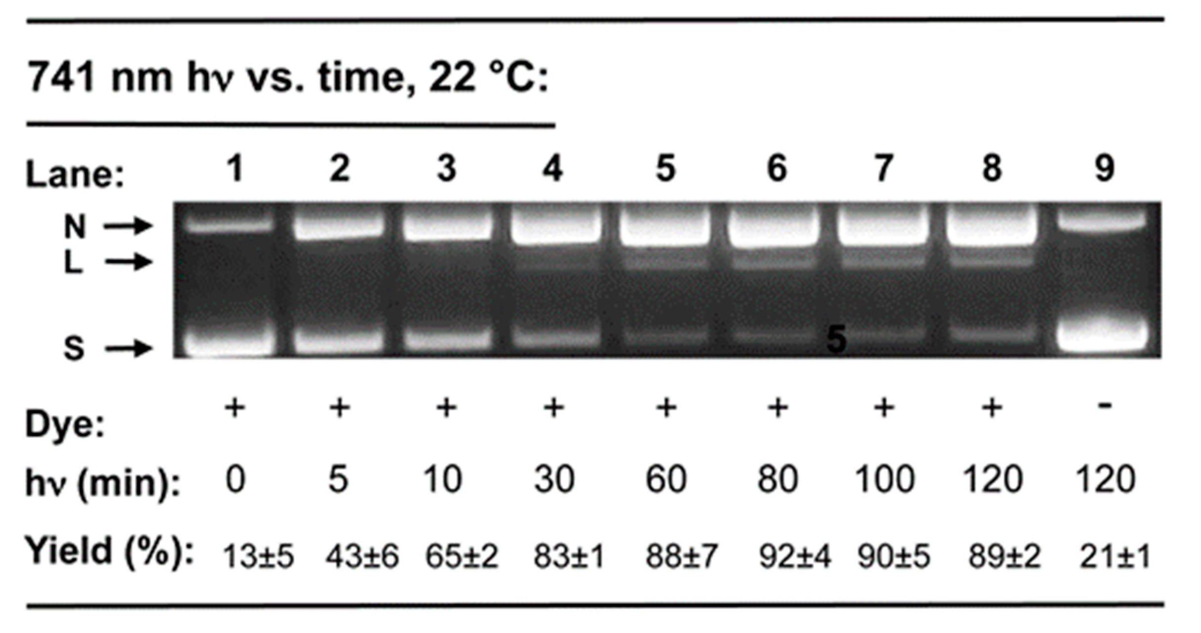 Molecules 25 02926 g003 Molecules 25 02926 g003