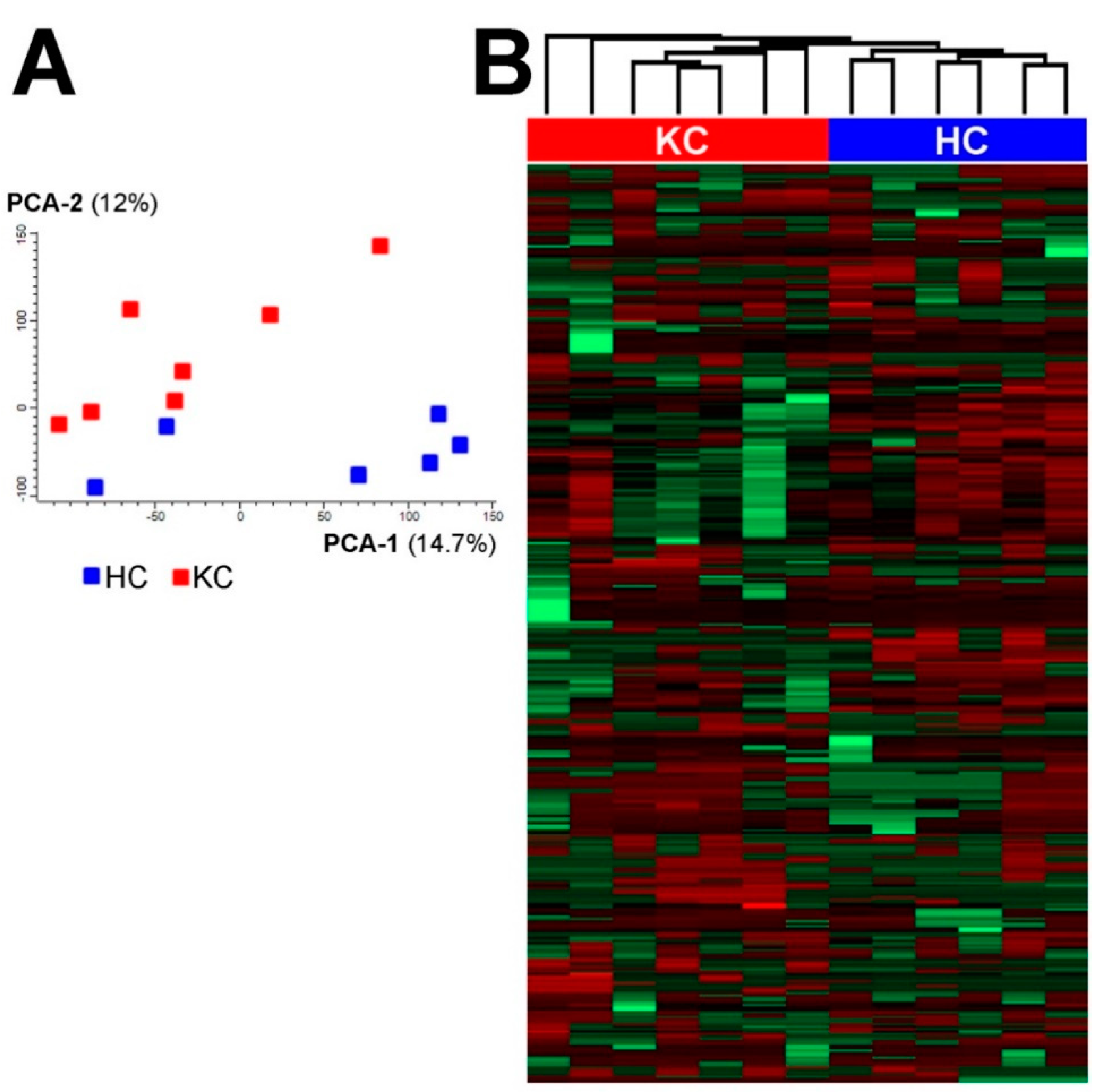 Molecules 25 02933 g001