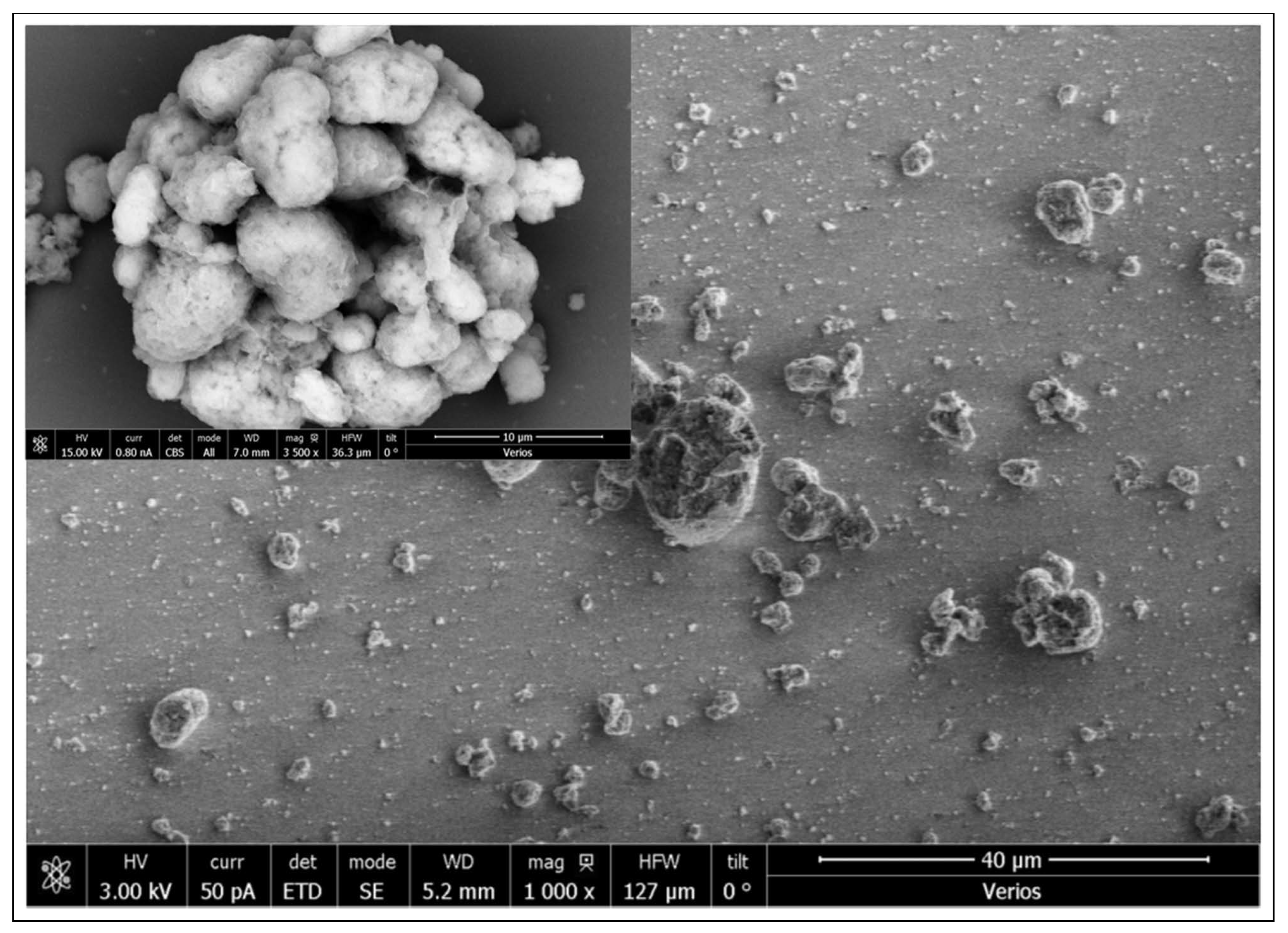 Molecules 25 02937 g005 Molecules 25 02937 g005