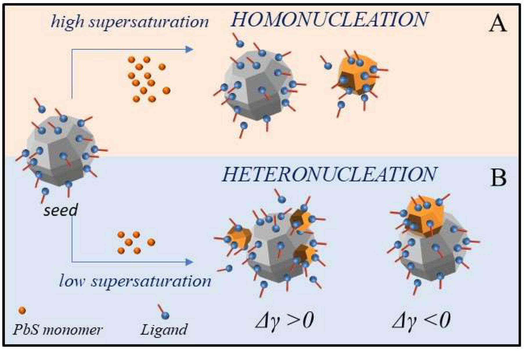 Molecules 25 02939 g001 Molecules 25 02939 g001