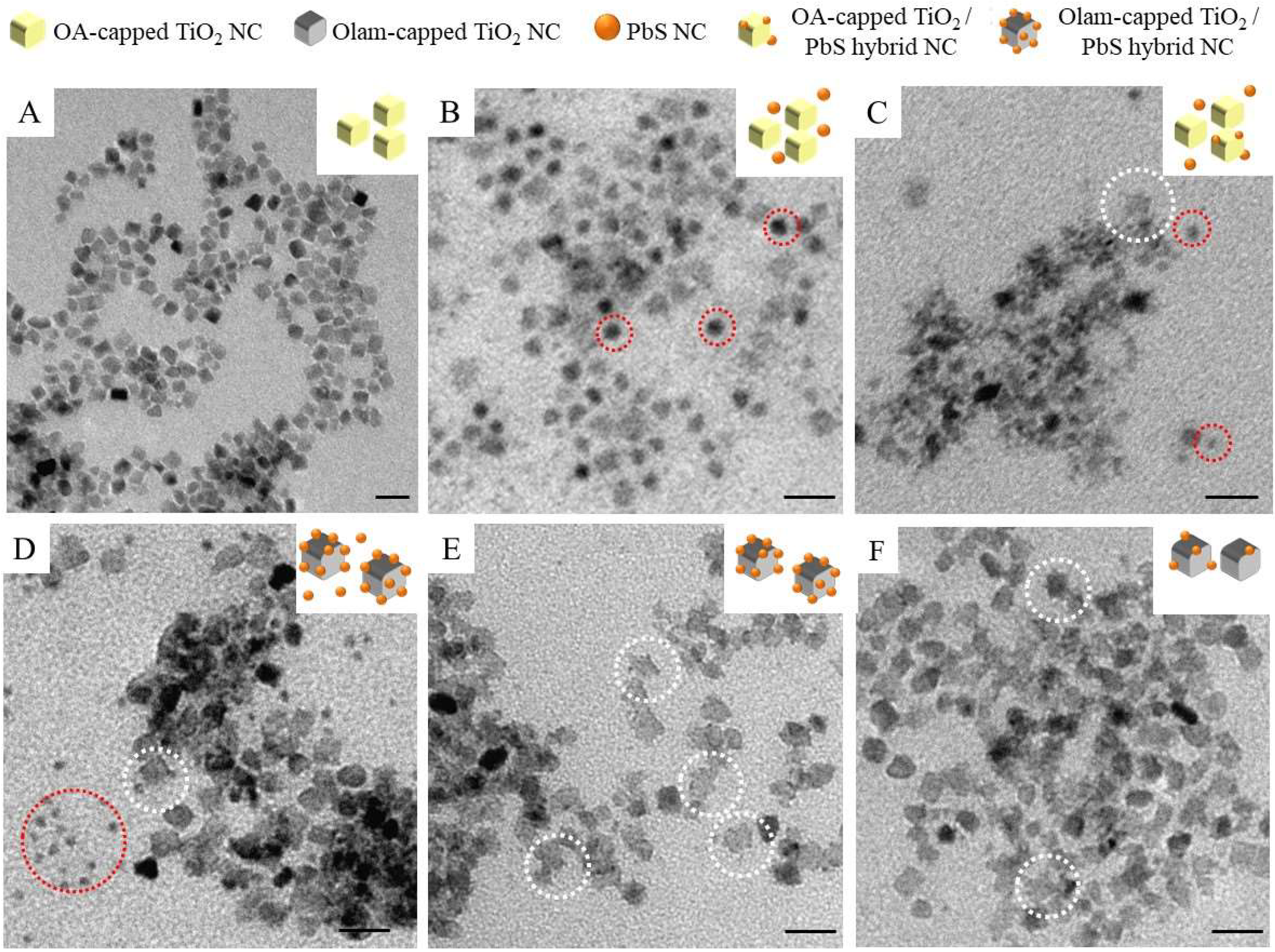 Molecules 25 02939 g002 Molecules 25 02939 g002