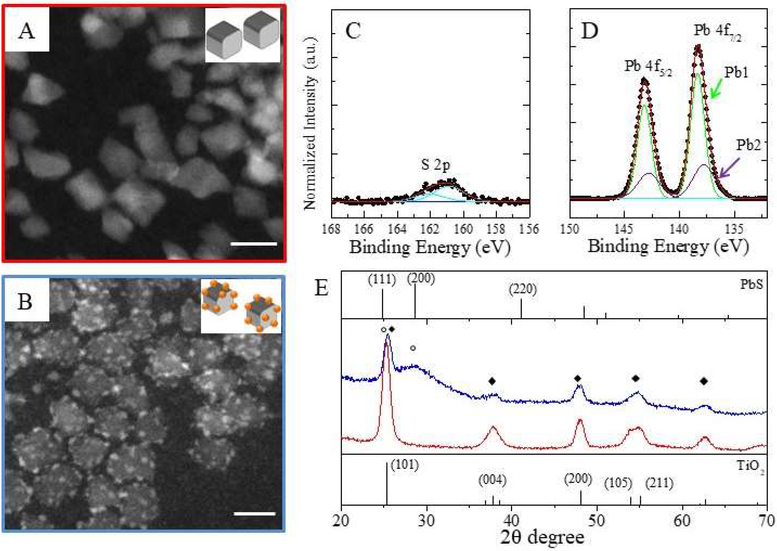 Molecules 25 02939 g004 Molecules 25 02939 g004