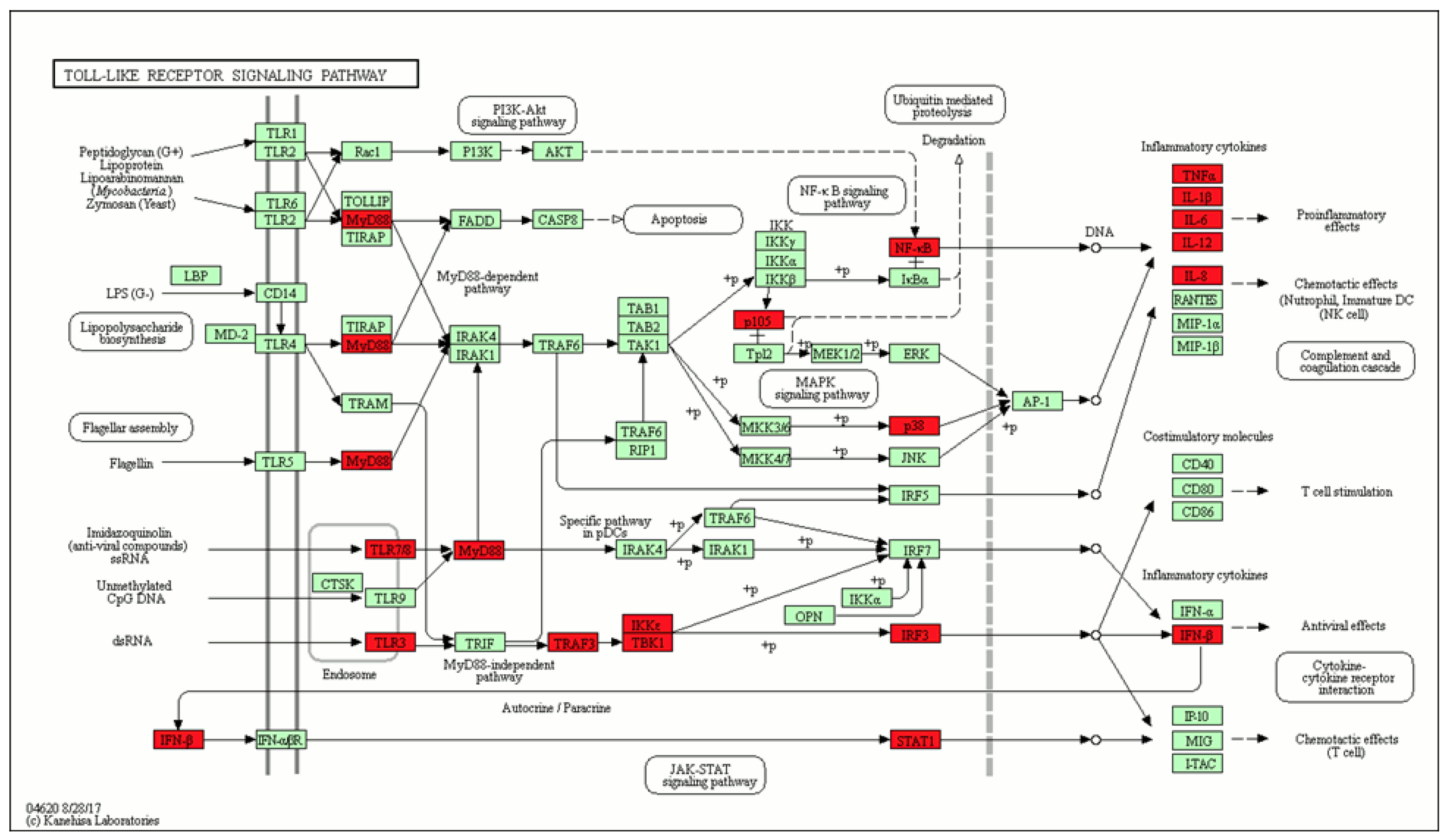 Molecules 25 02944 g003