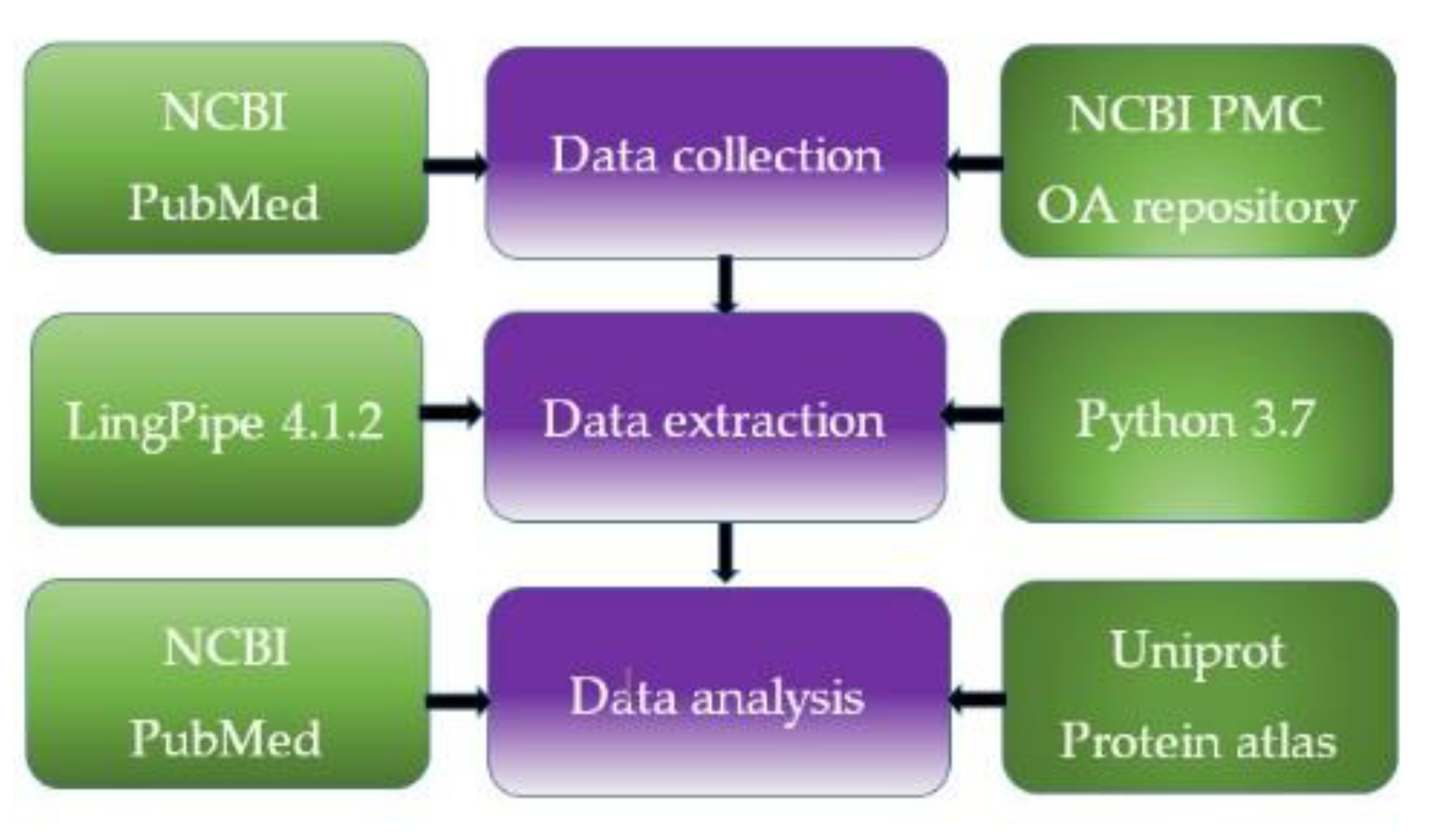 Molecules 25 02944 g005