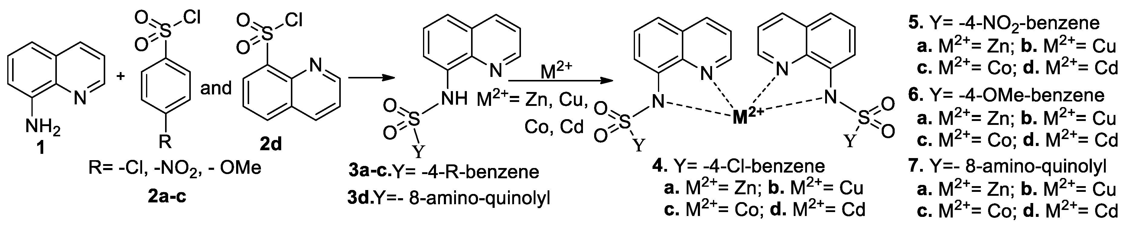 Molecules 25 02946 sch002