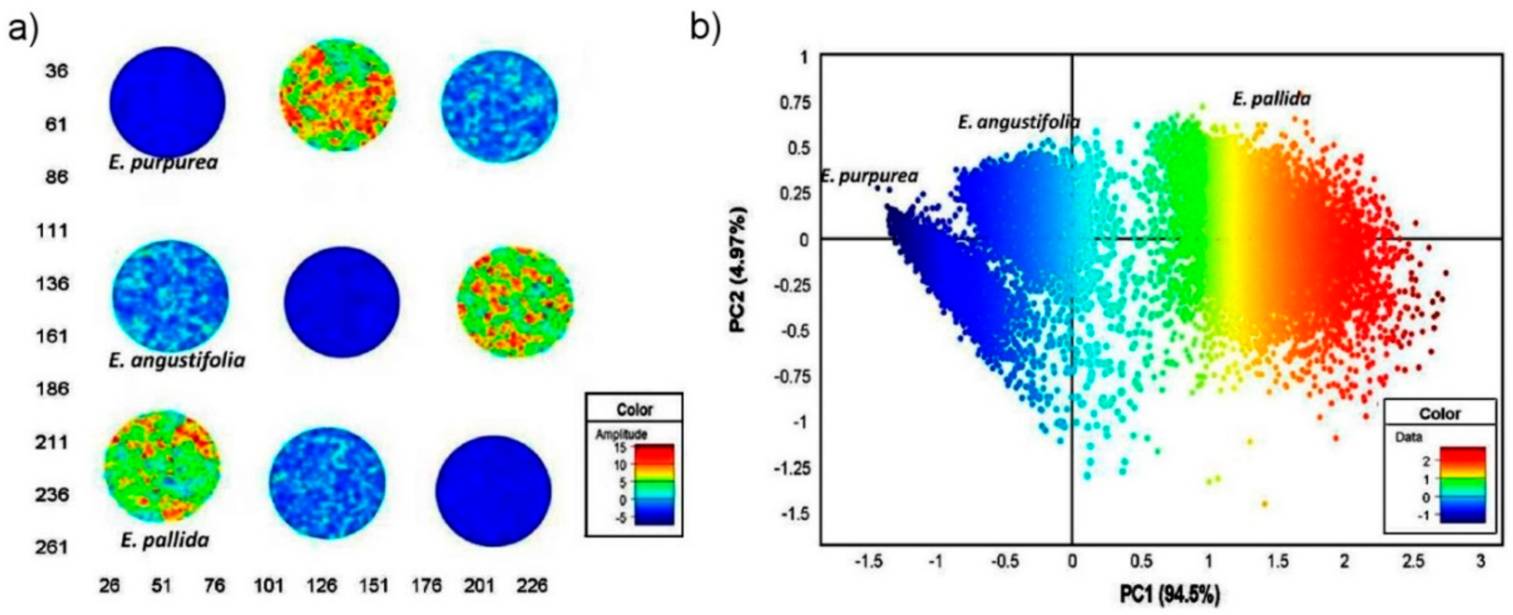 Molecules 25 02948 g009 Molecules 25 02948 g009