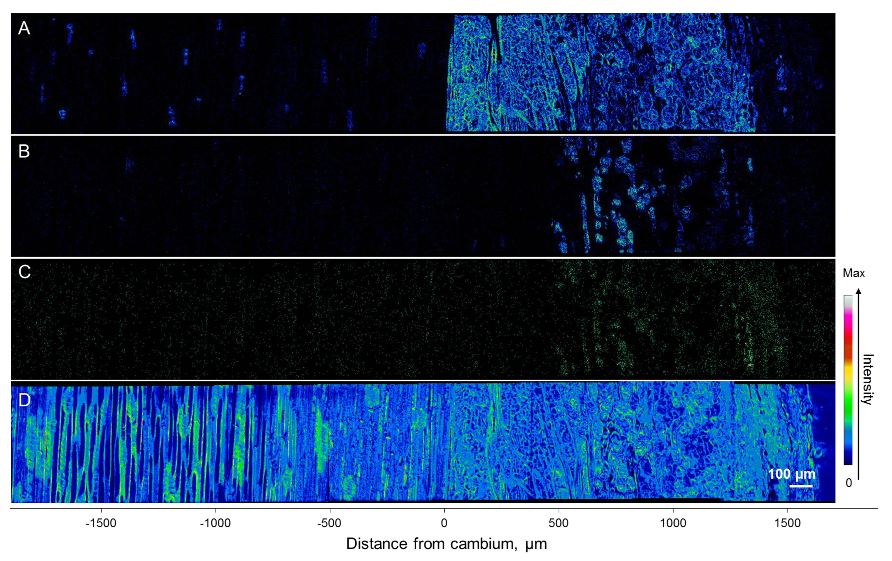 Molecules 25 02952 g010 Molecules 25 02952 g010