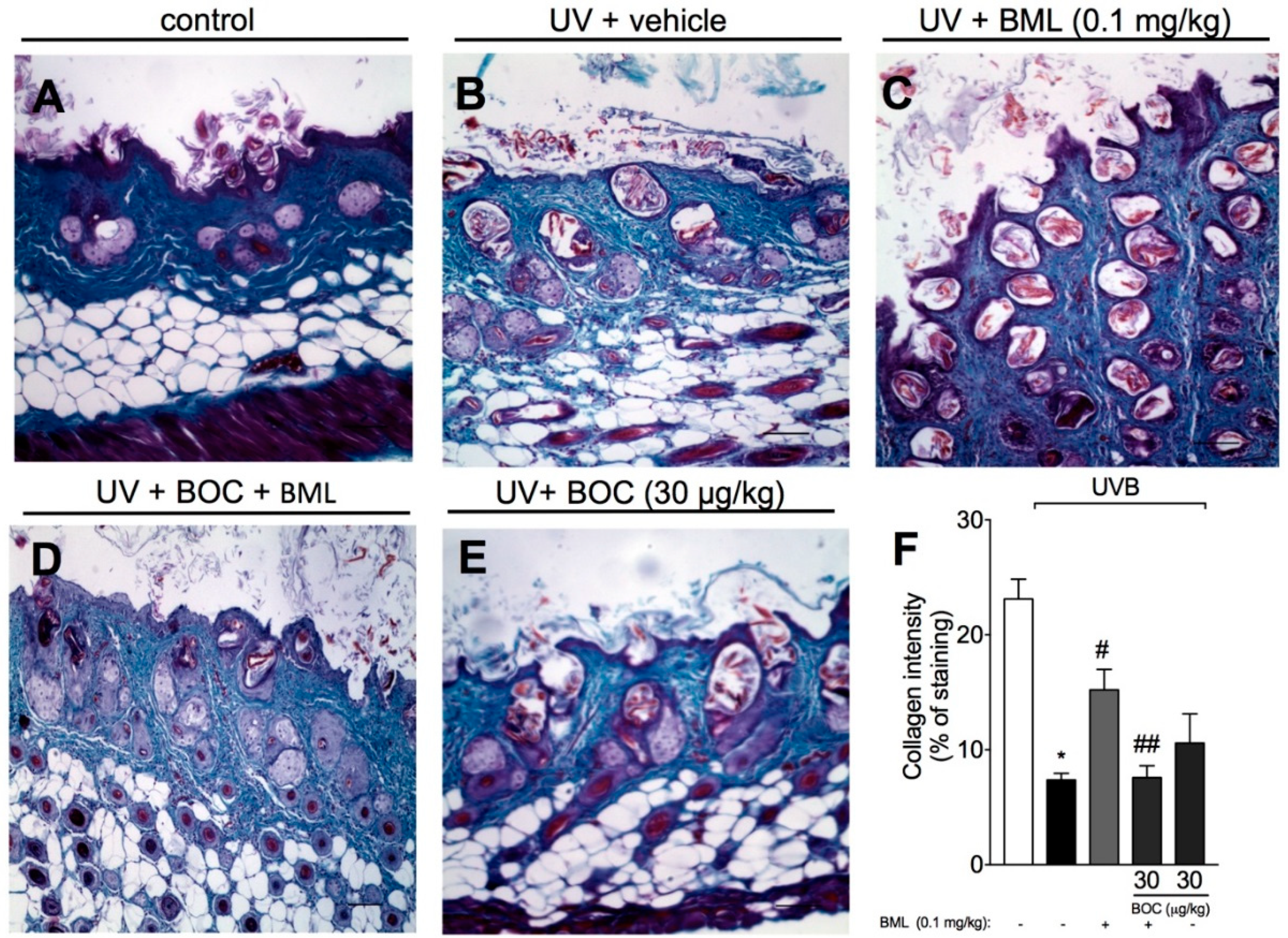 Molecules 25 02953 g005