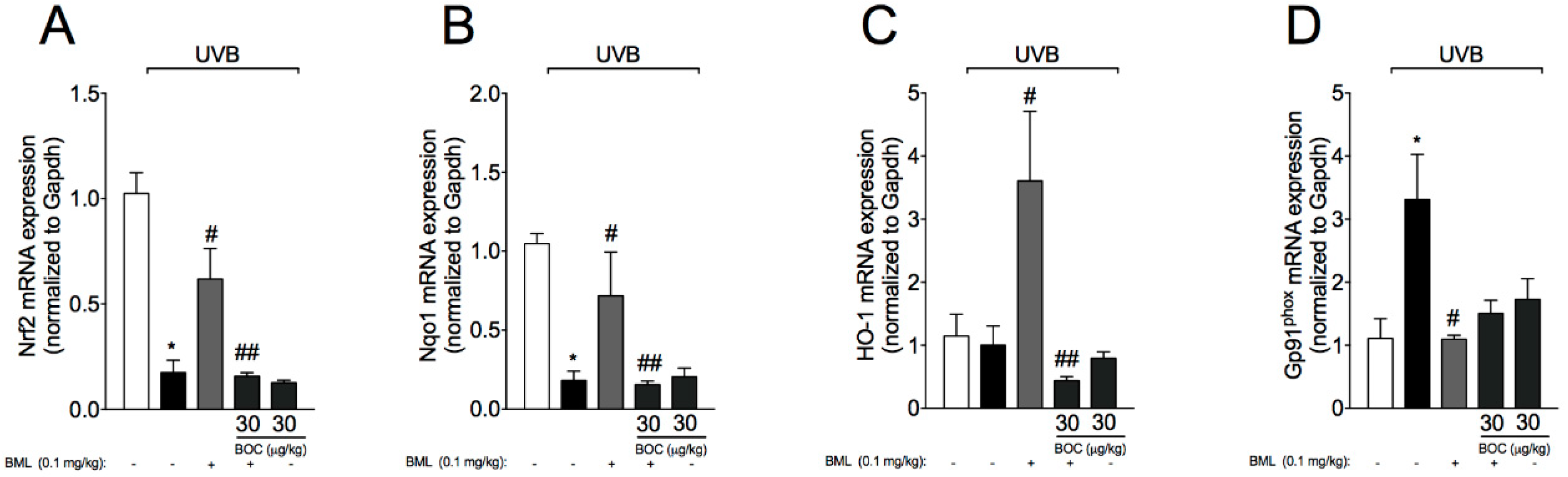 Molecules 25 02953 g008