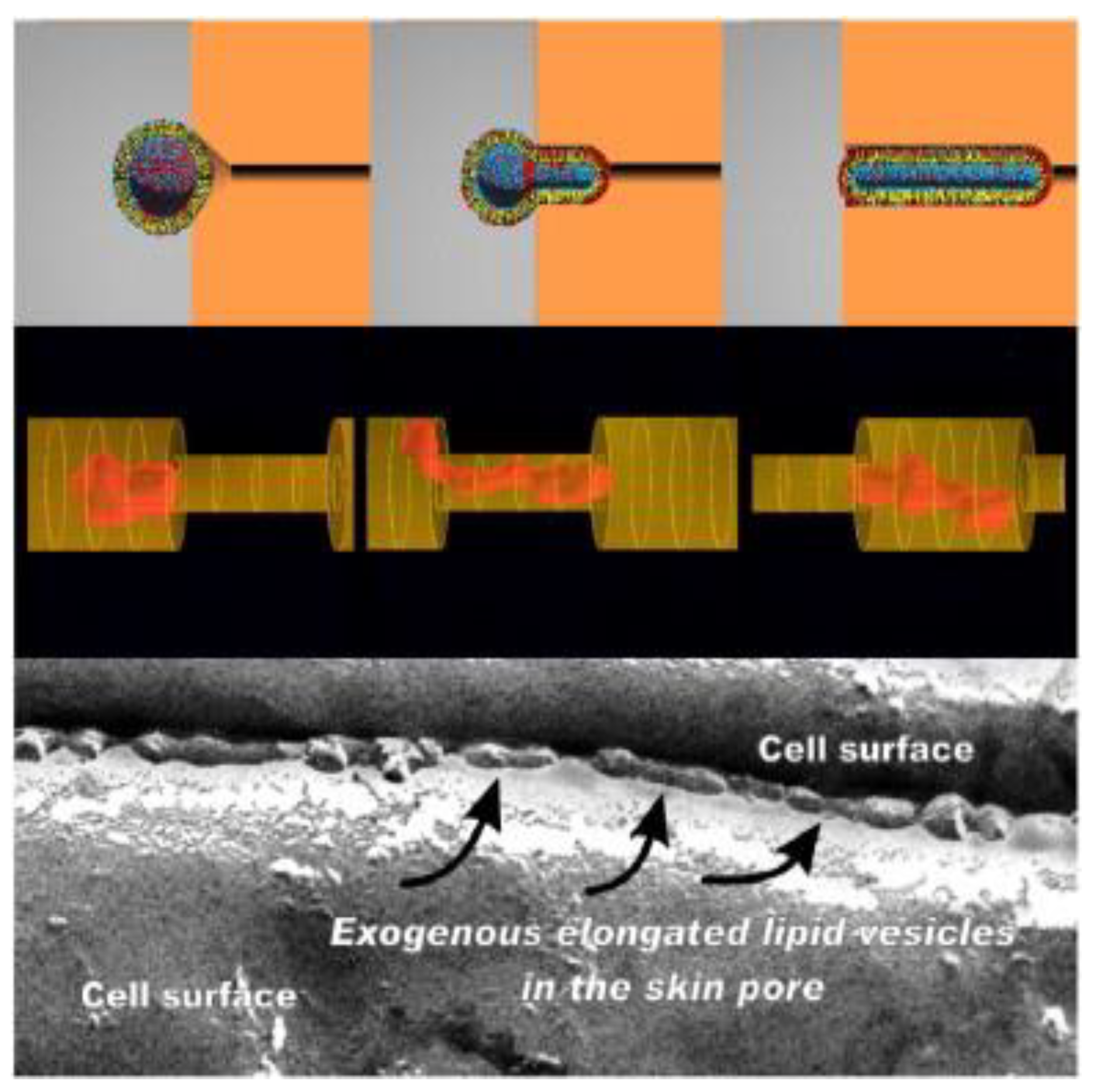 Molecules 25 02959 g005