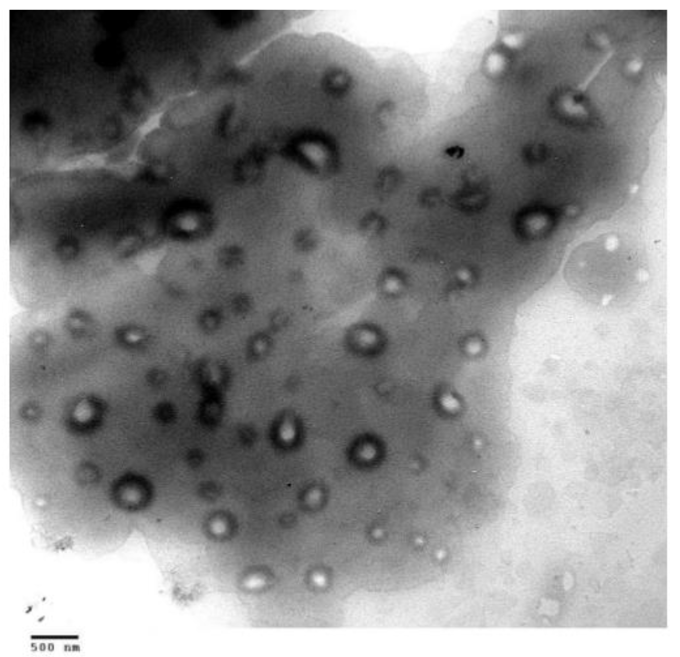 Molecules 25 02959 g009