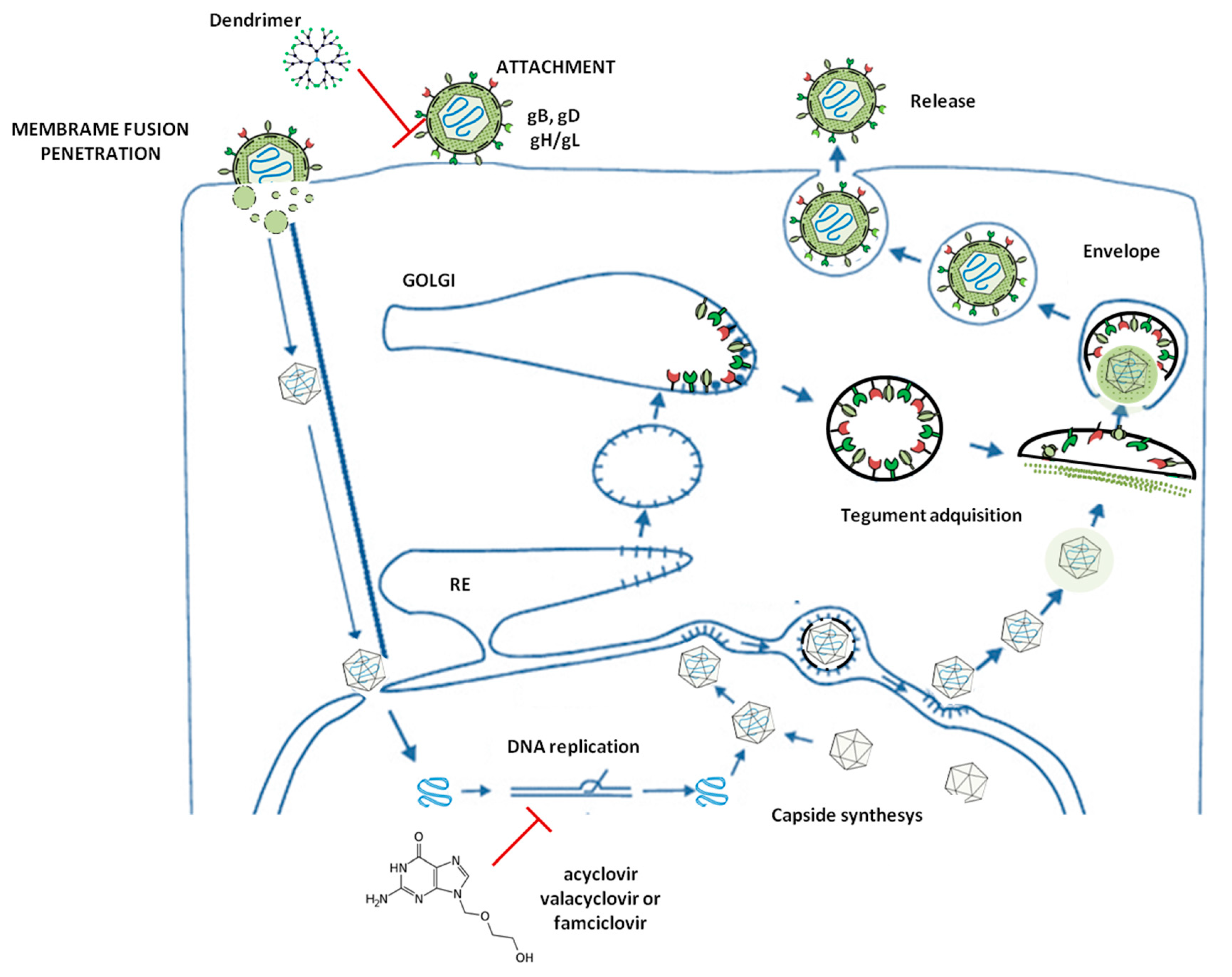 Molecules 25 02965 g001 Molecules 25 02965 g001