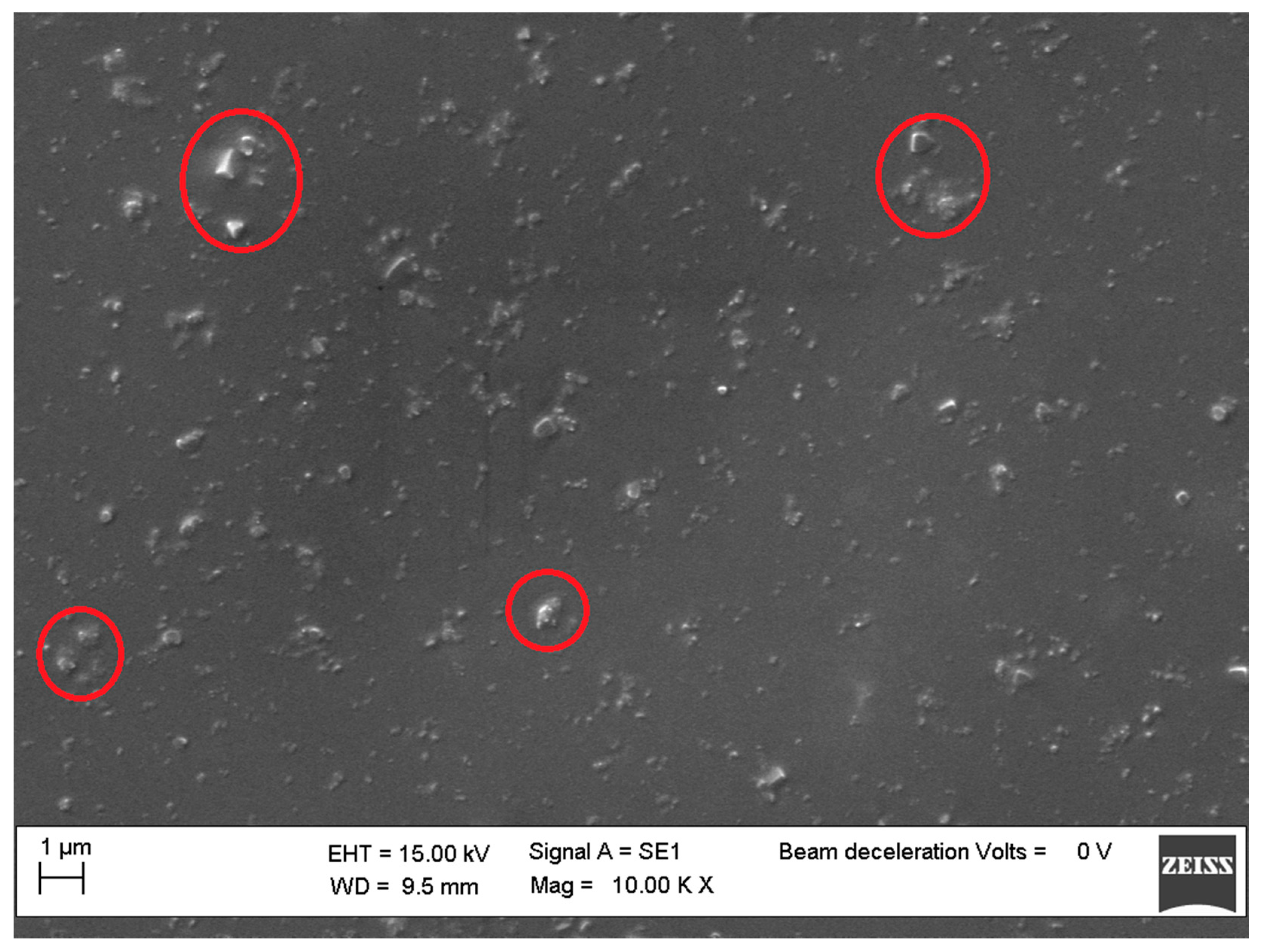 Molecules 25 02967 g012