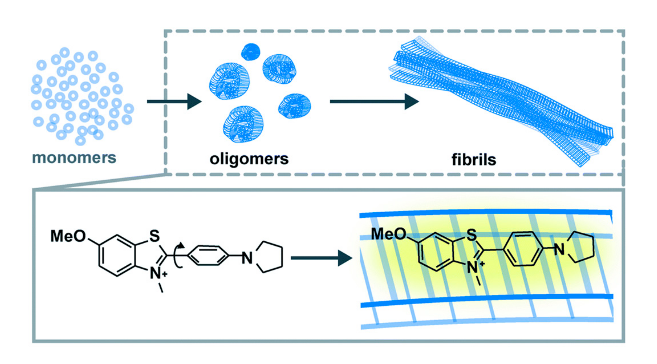 Molecules 25 02968 g003 Molecules 25 02968 g003