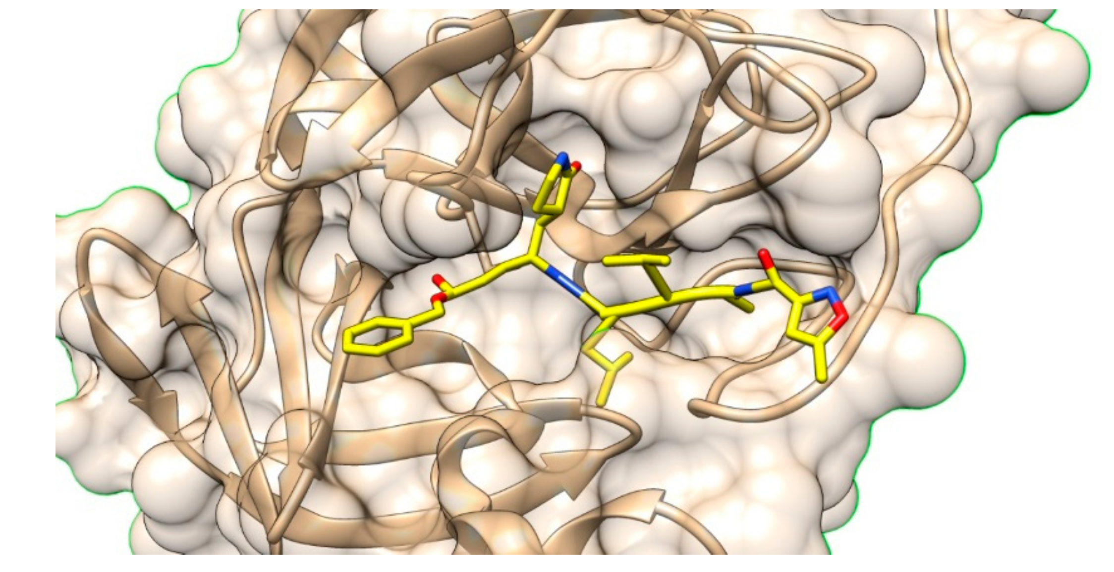 Molecules 25 02968 g008 Molecules 25 02968 g008