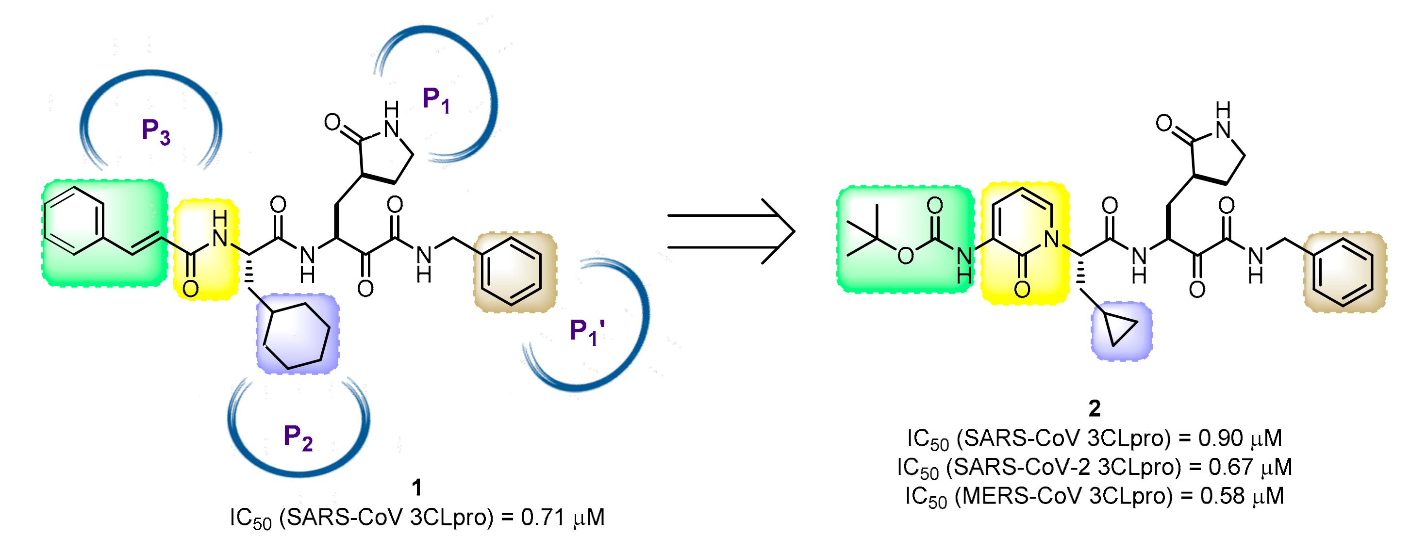 Molecules 25 02968 g011 Molecules 25 02968 g011
