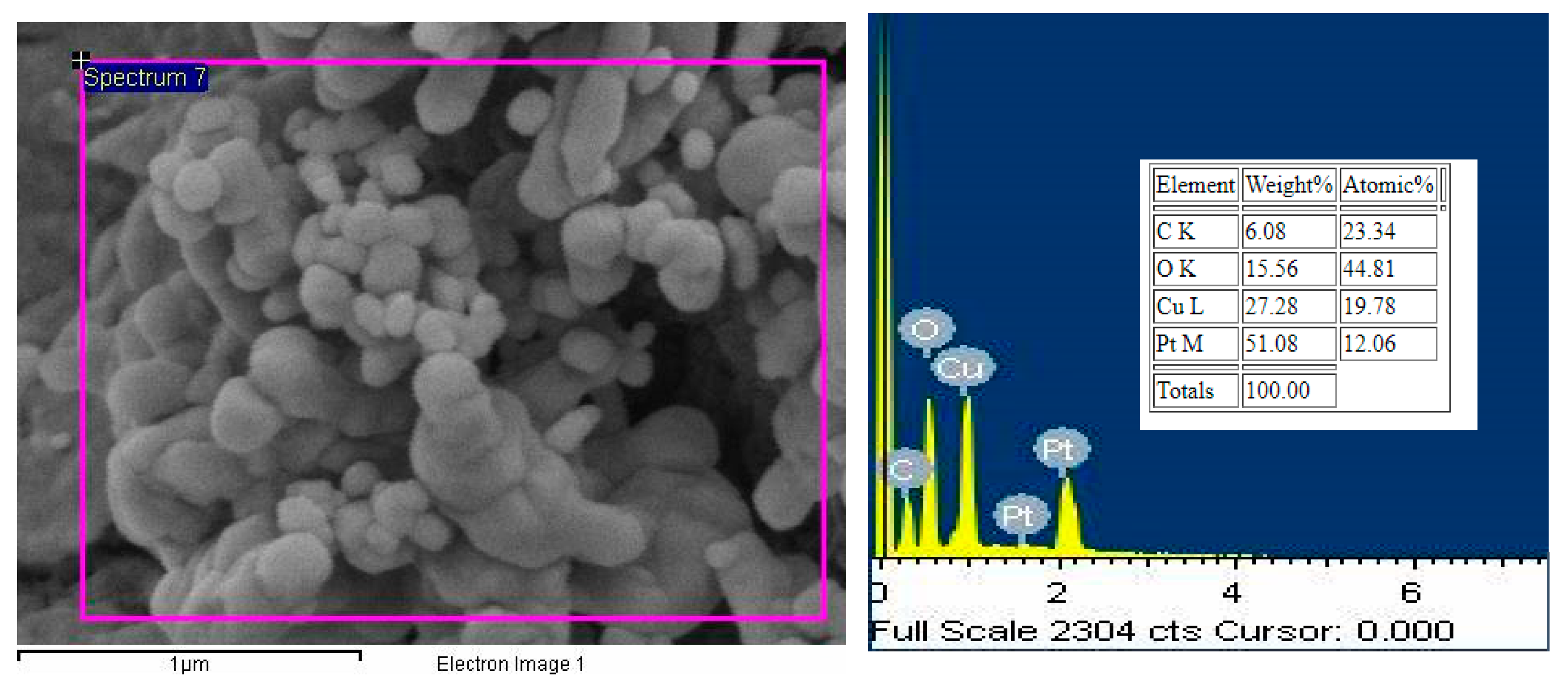 Molecules 25 02975 g007 Molecules 25 02975 g007