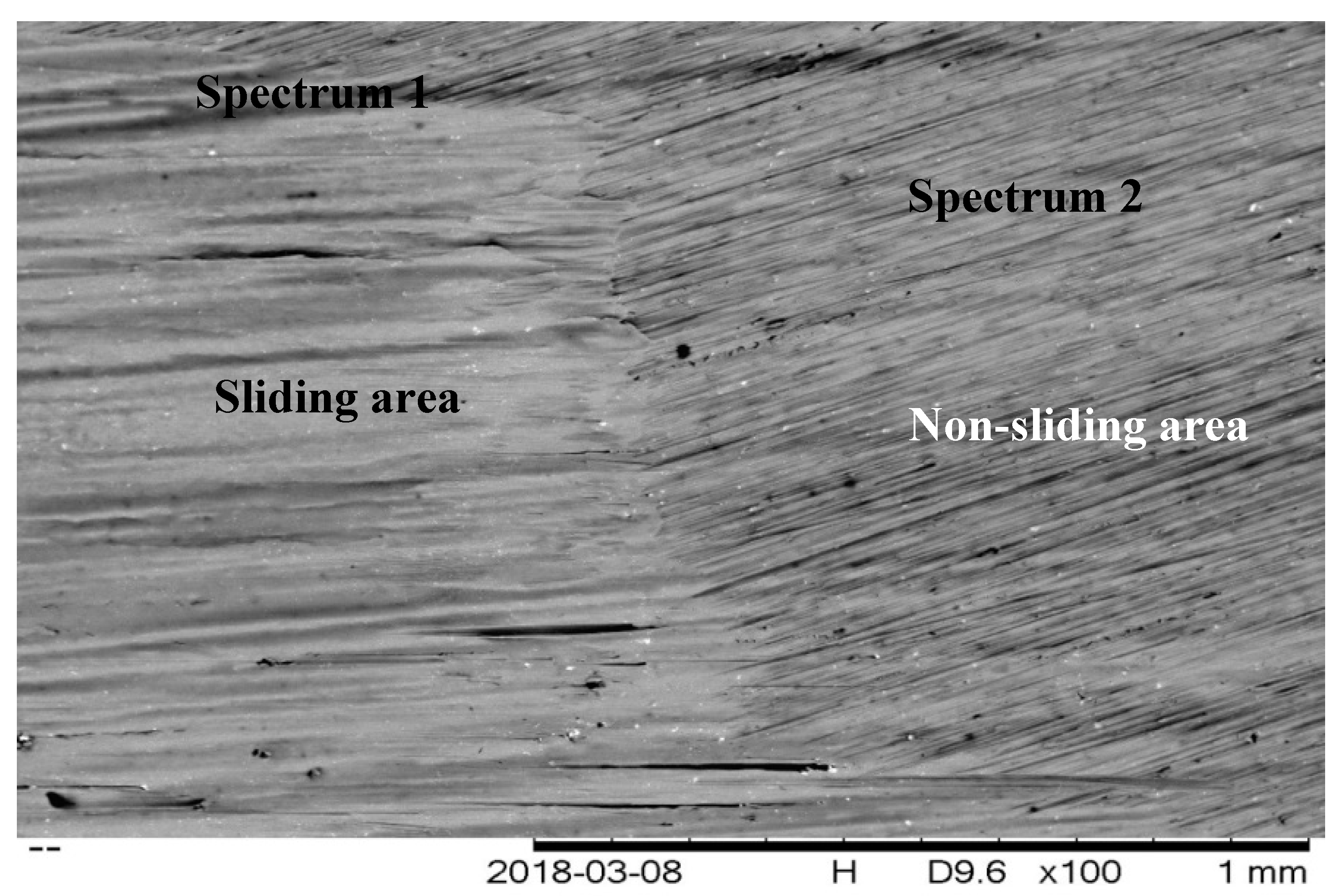 Molecules 25 02975 g021 Molecules 25 02975 g021