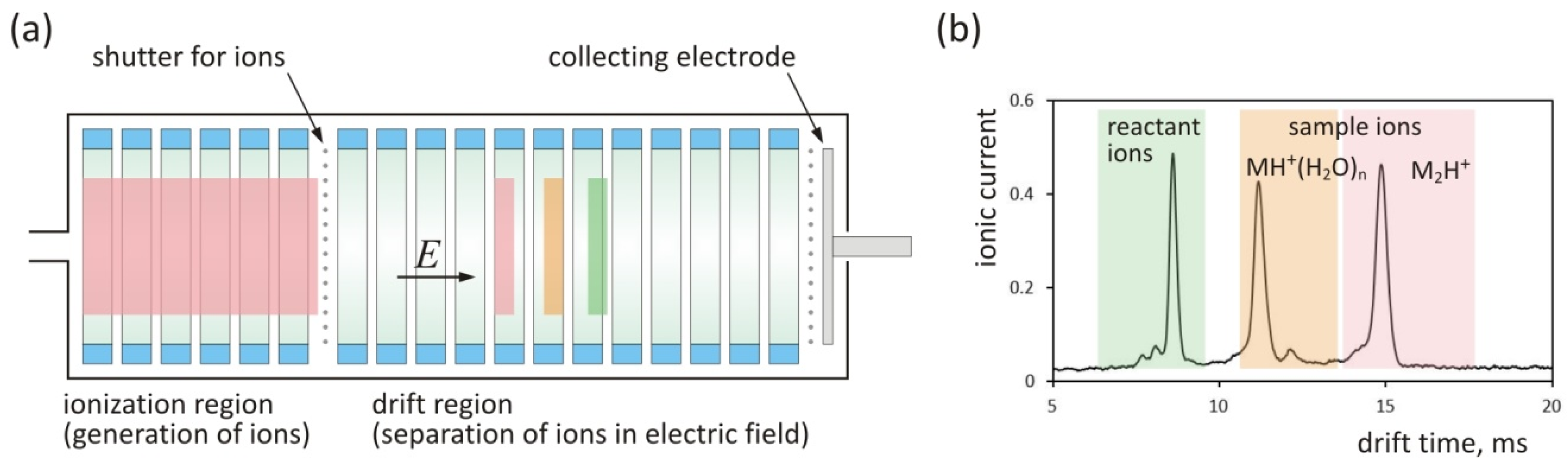 Molecules 25 02983 g002