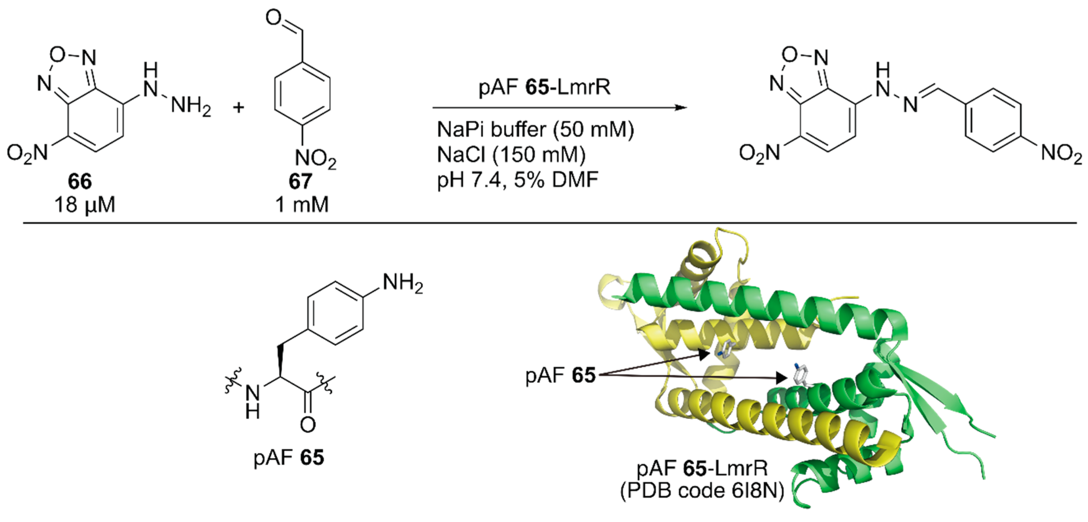 Molecules 25 02989 g013 Molecules 25 02989 g013