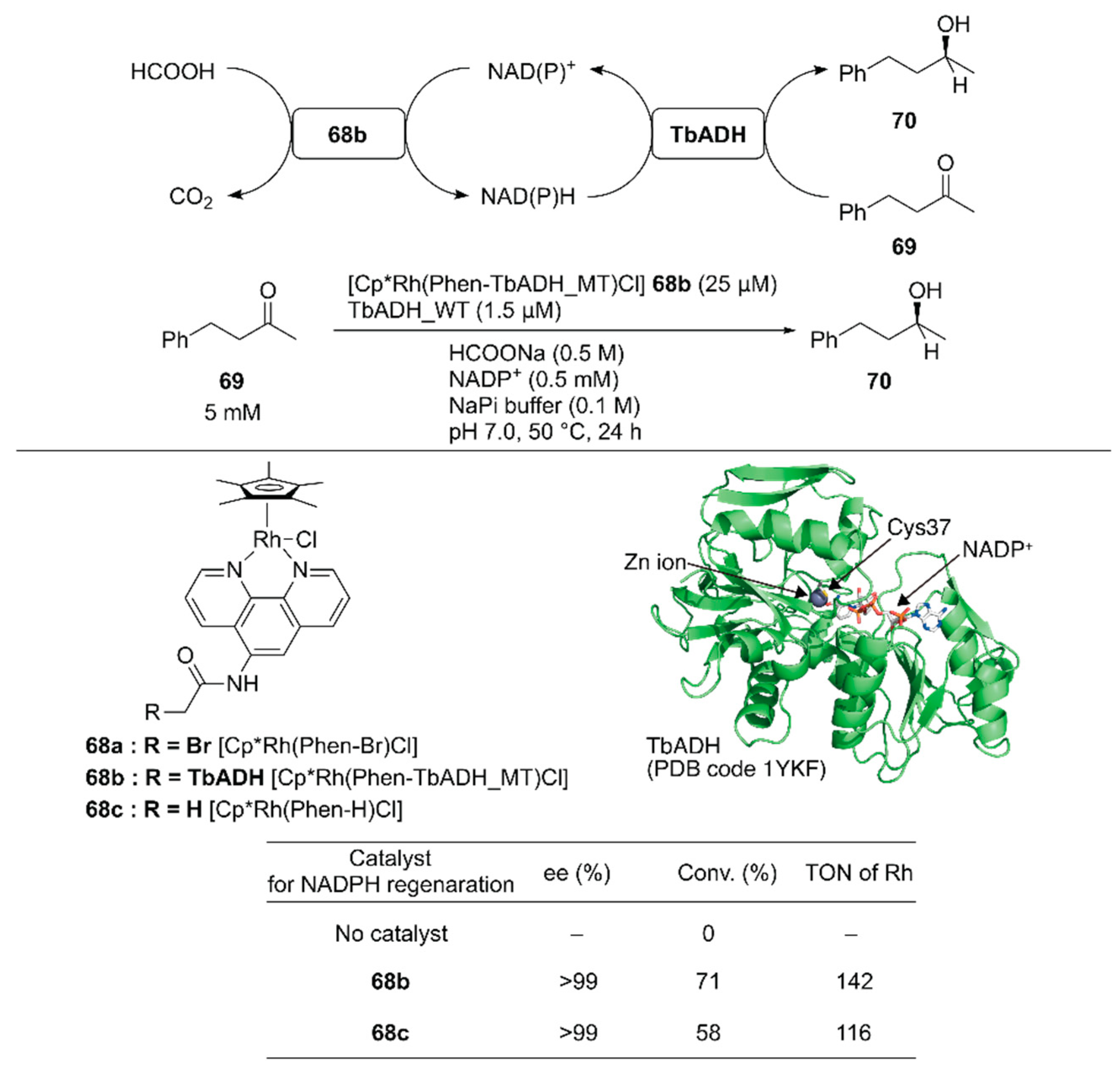 Molecules 25 02989 g014 Molecules 25 02989 g014