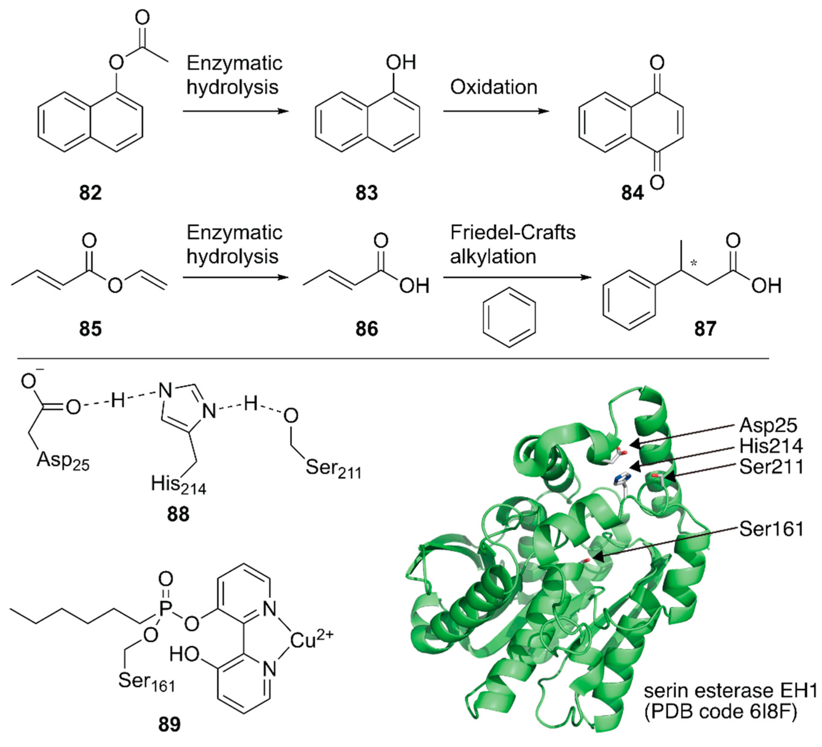 Molecules 25 02989 g017 Molecules 25 02989 g017