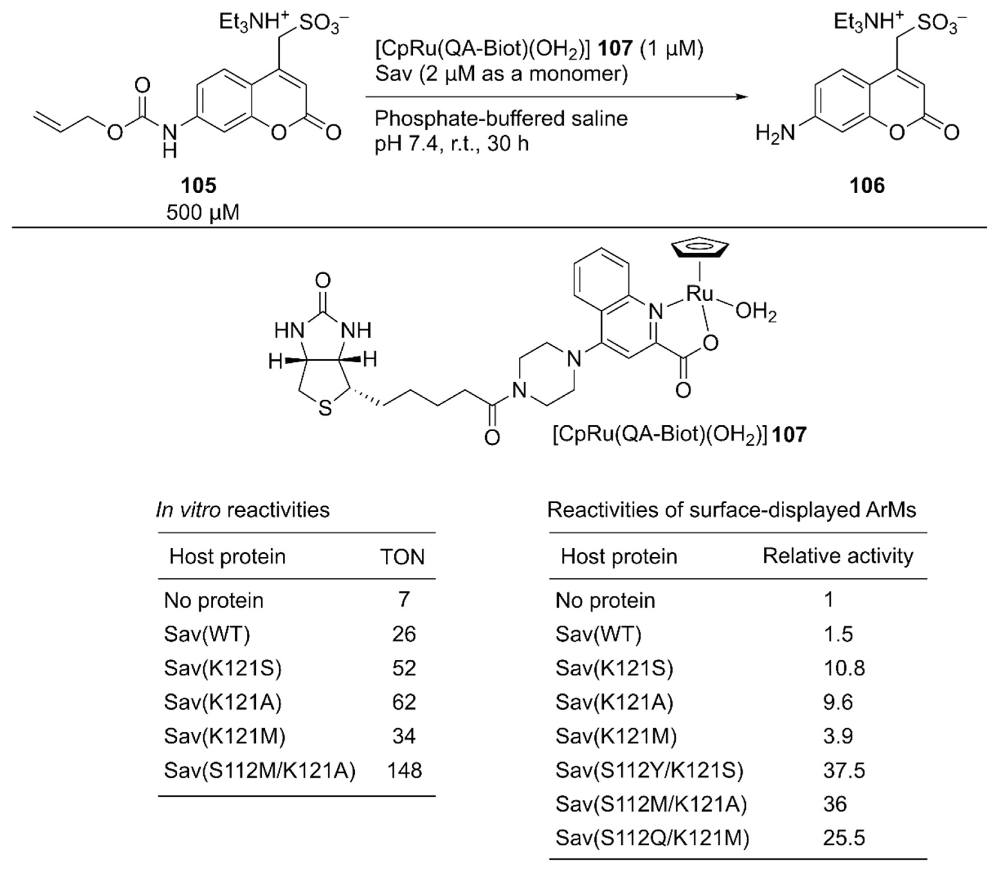 Molecules 25 02989 g020 Molecules 25 02989 g020