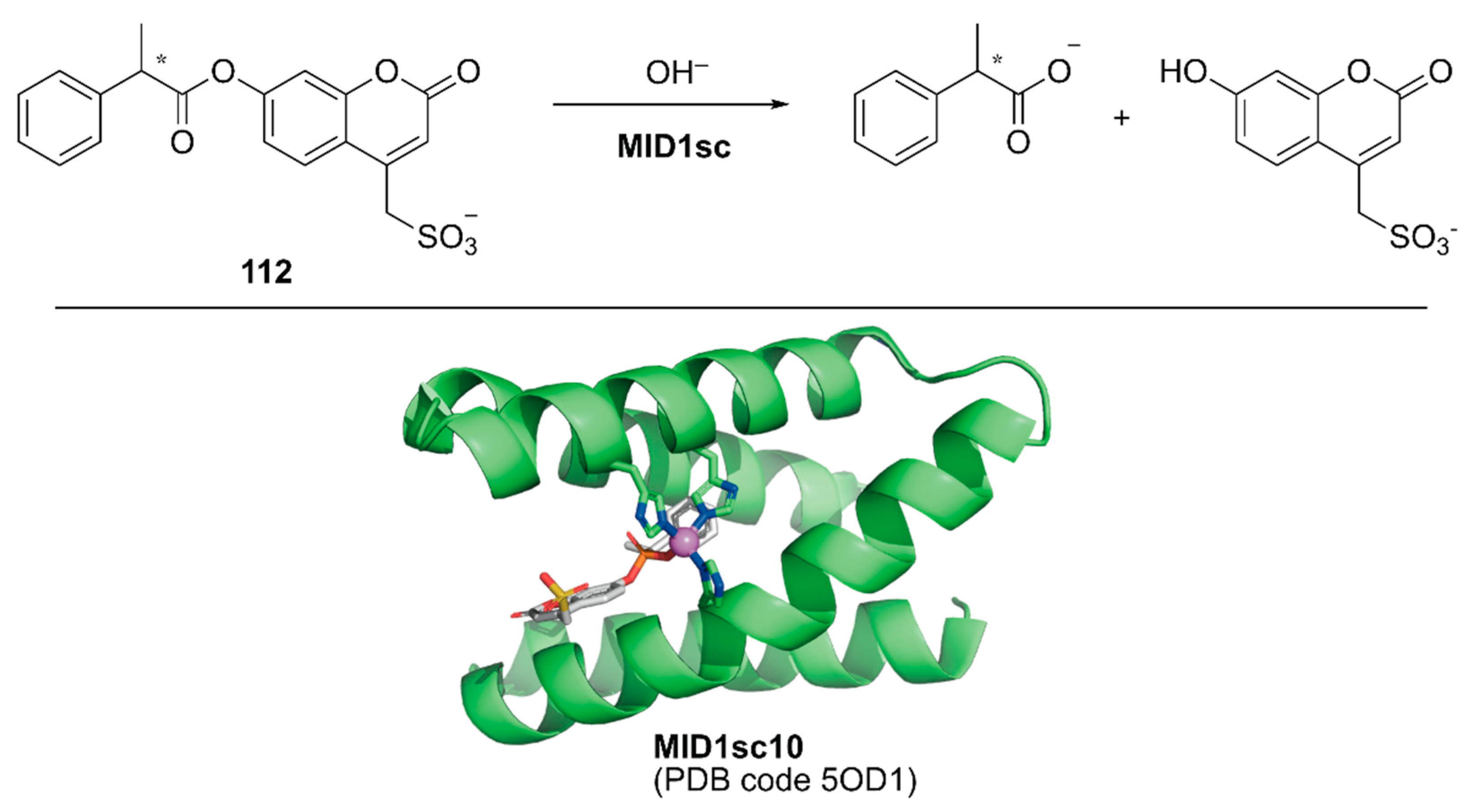 Molecules 25 02989 g022 Molecules 25 02989 g022