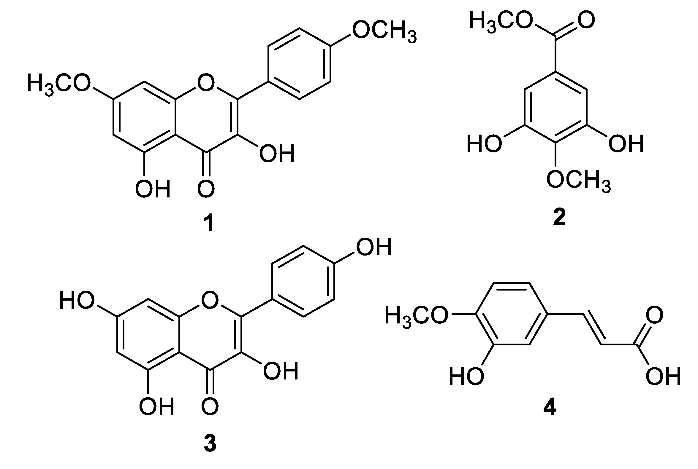 Molecules Free Full Text Anti Inflammatory Principles From Tamarix Aphylla L A Bioassay Guided Fractionation Study Html Molecules Free Full Text Anti Inflammatory Principles From Tamarix Aphylla L A Bioassay Guided Fractionation Study Html