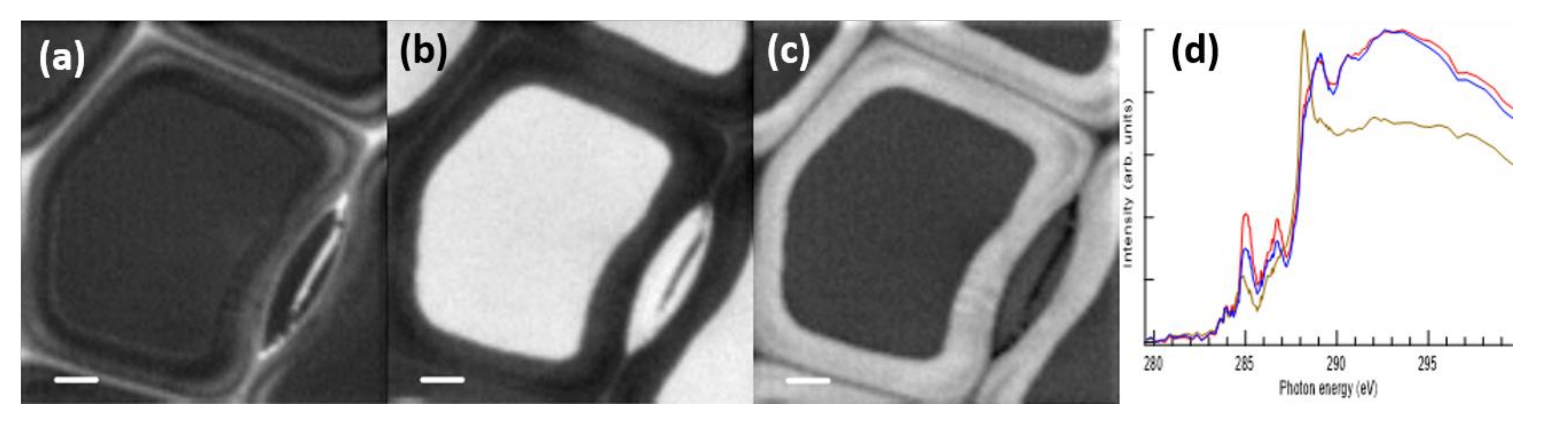 Molecules 25 02997 g006 Molecules 25 02997 g006